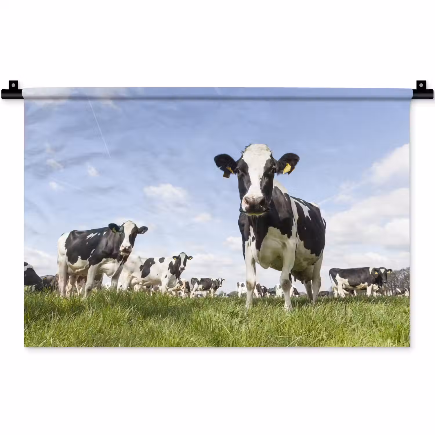 Koeien - Gras - Dieren - Zon - Boerderij Wandkleed katoen klein -zz3d
