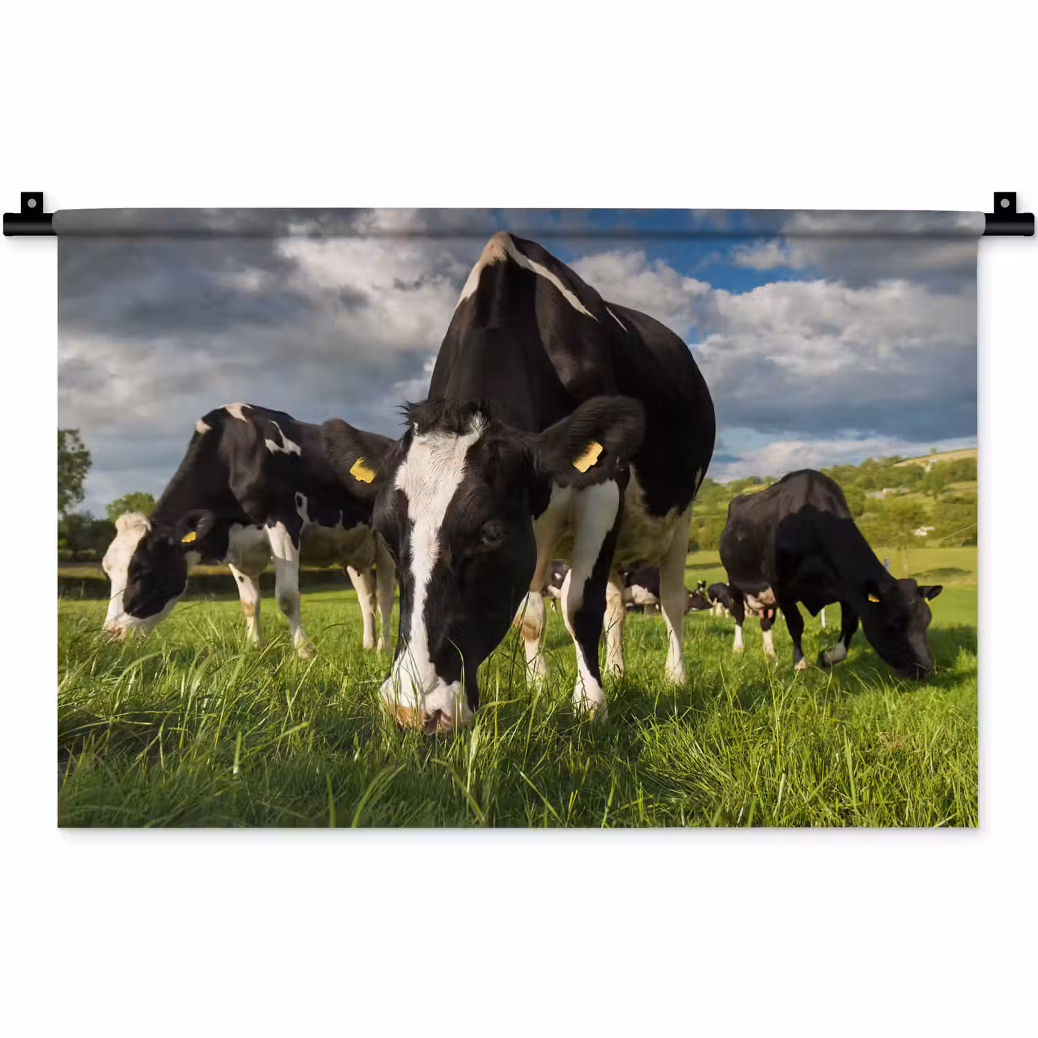 Koeien - Dieren - Gras - Weiland - Boerderij Wandkleed katoen klein -zz3d