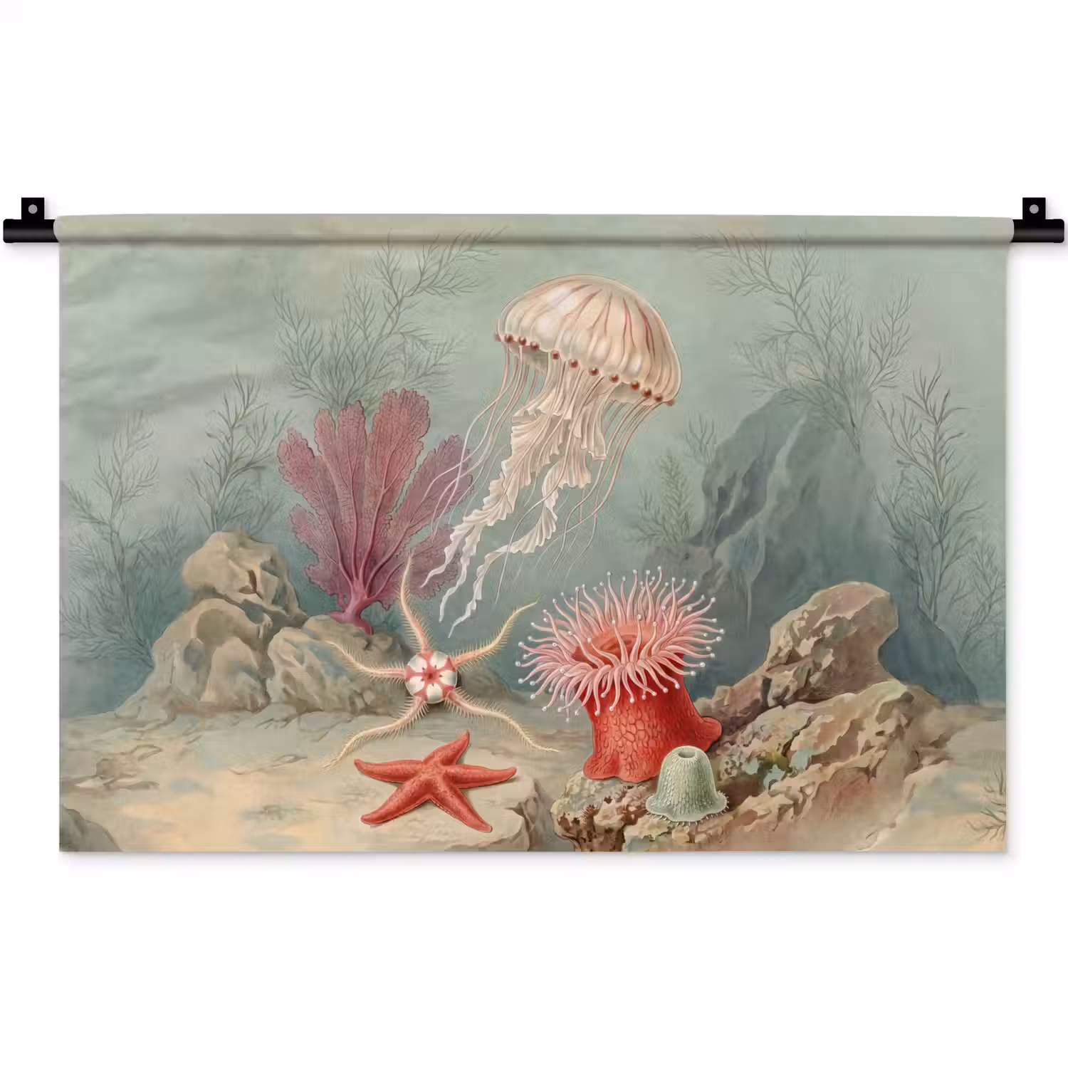 Zeeleven - Kwal - Onderwater - Illustratie - Beige Wandkleed katoen klein -zz3d