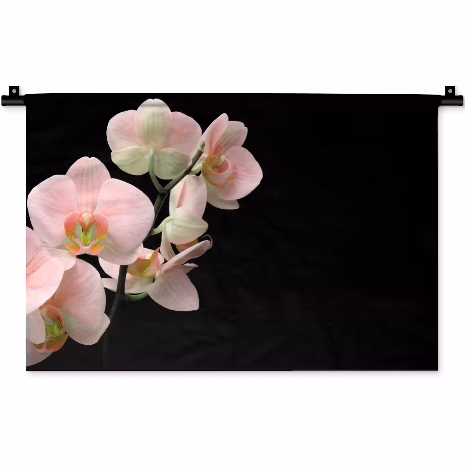 Orchidee - Bloemen - Roze - Stilleven - Flora Wandkleed katoen klein -zz3d