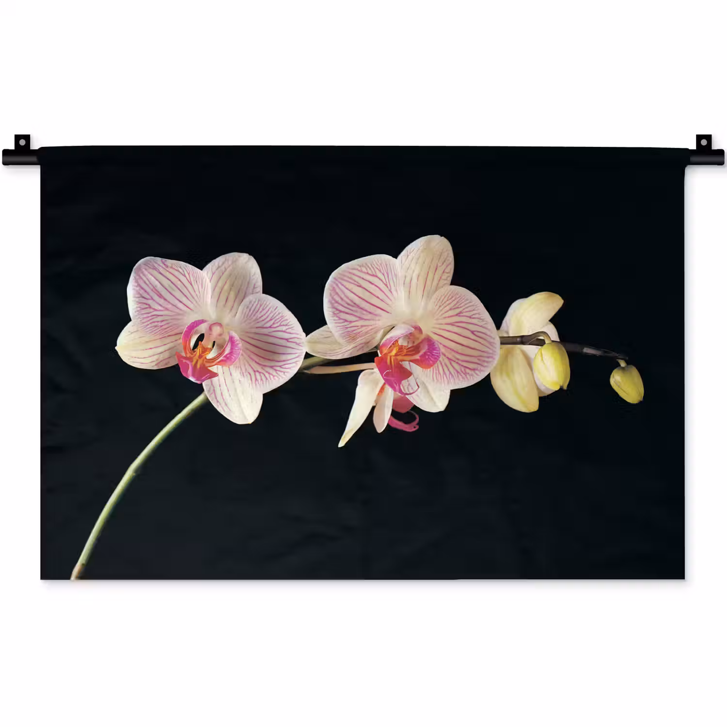 Orchidee - Bloemen - Zwart - Roze - Knoppen Wandkleed katoen klein -zz3d