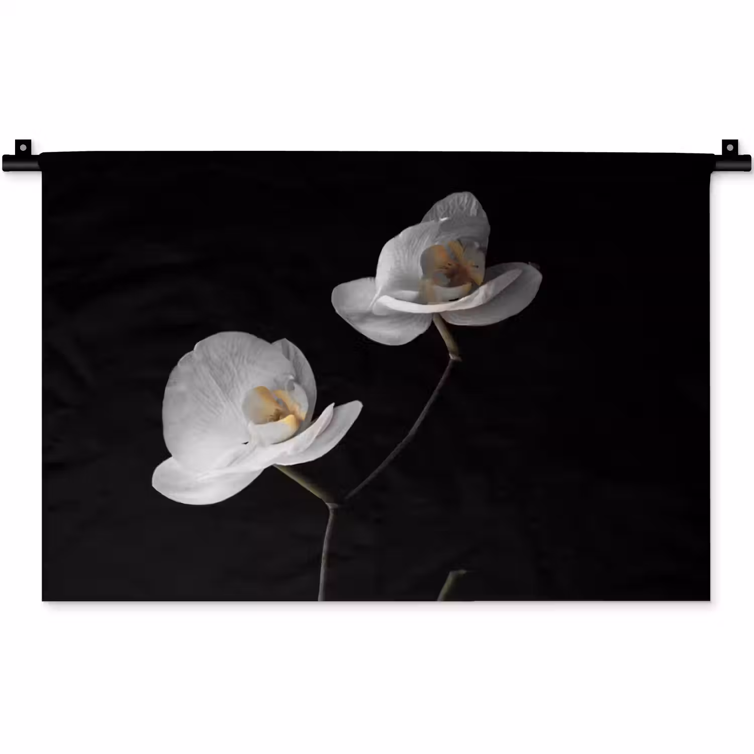 Orchidee - Bloemen - Zwart - Wit - Stilleven Wandkleed katoen klein -zz3d