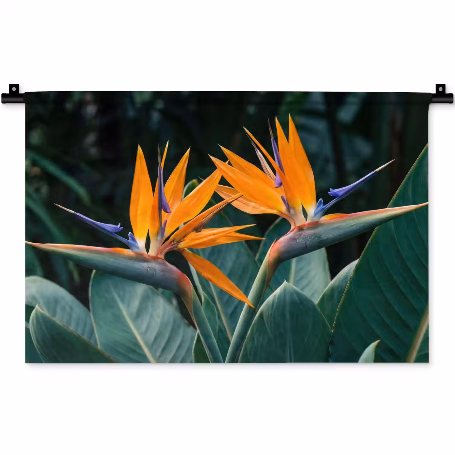 Paradijsvogel - Bloem - Exotisch Wandkleed katoen klein -zz3d