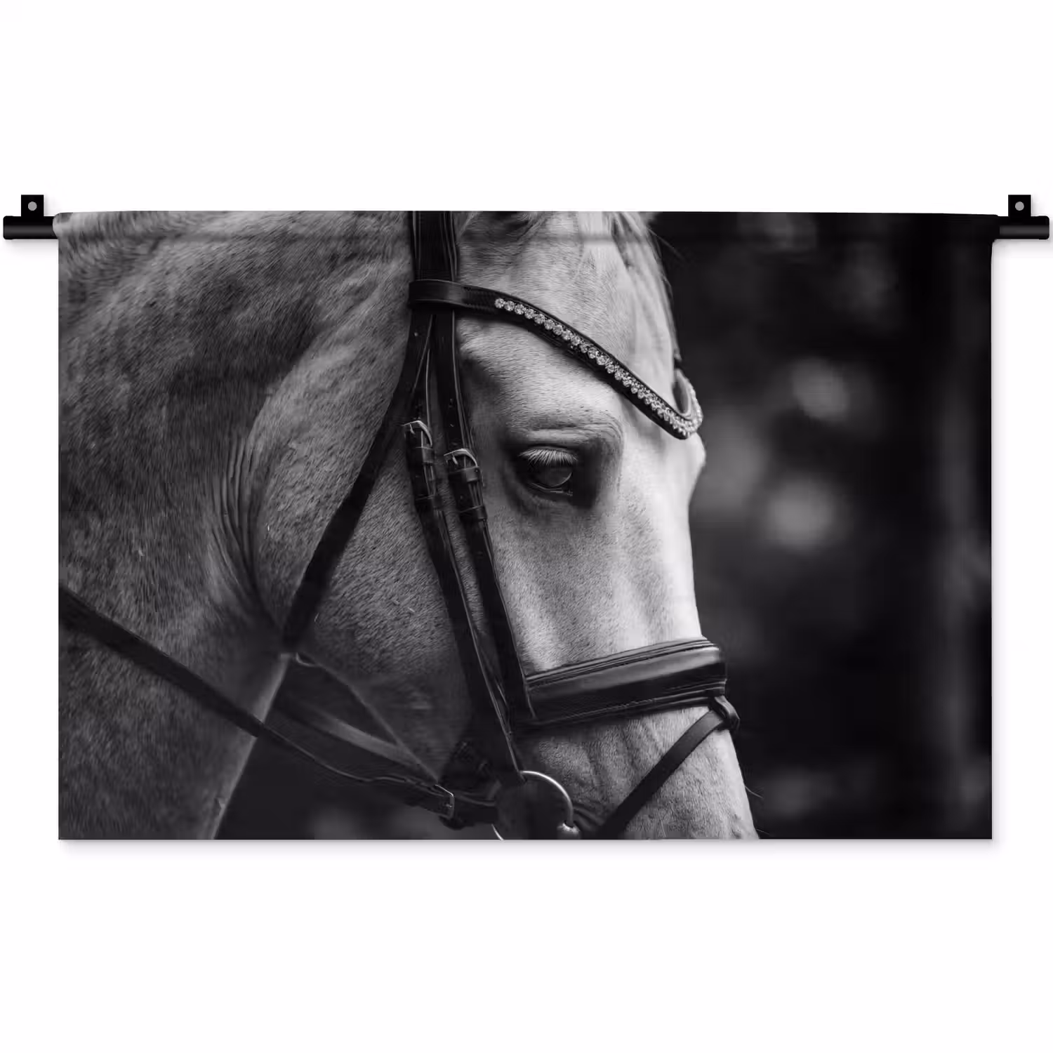 Paard - Schimmel - Portret Wandkleed katoen klein -zz3d