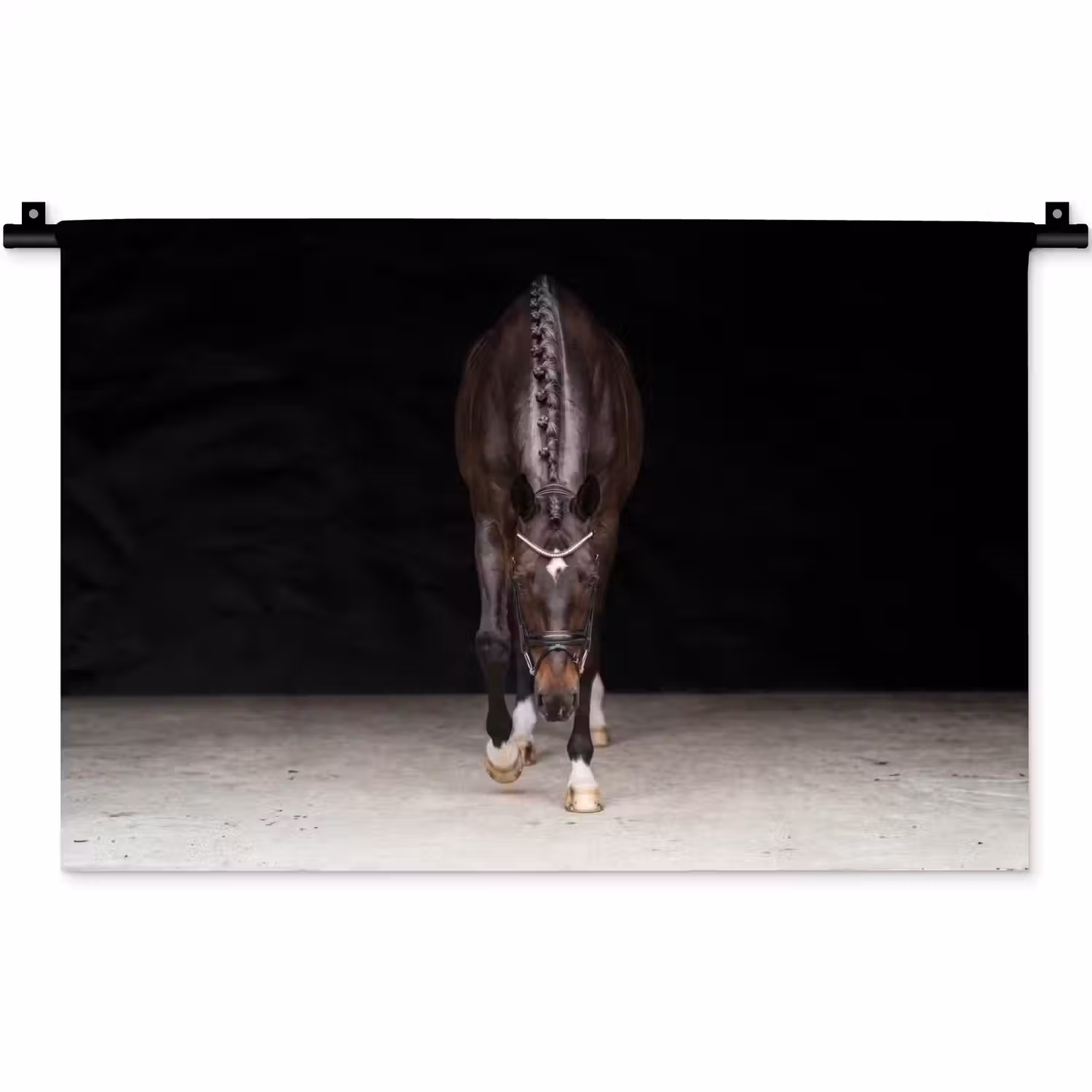 Paard - Modern - Portret Wandkleed katoen klein -zz3d