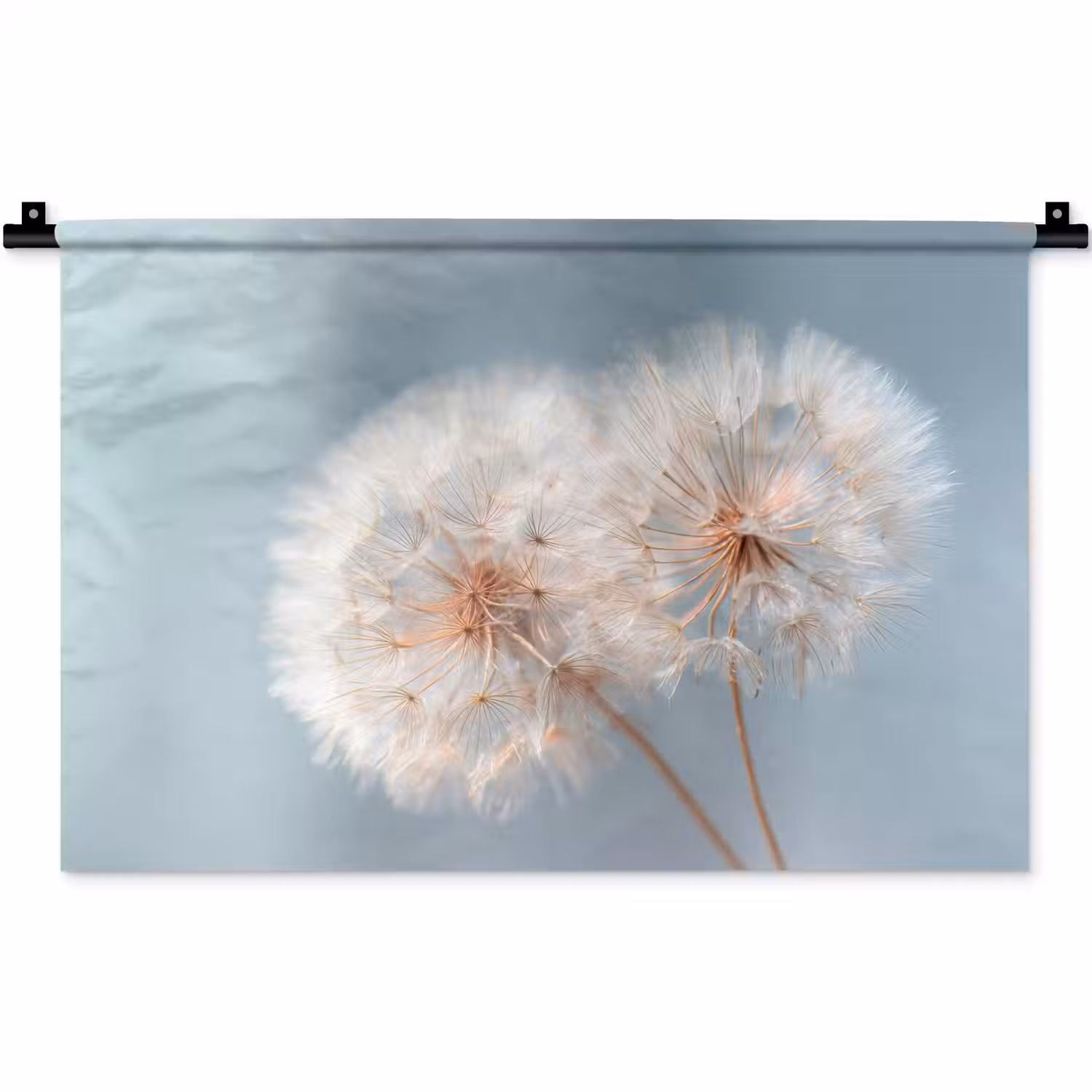 Paardenbloemen - Pluisjes - Wit Wandkleed katoen klein -zz3d