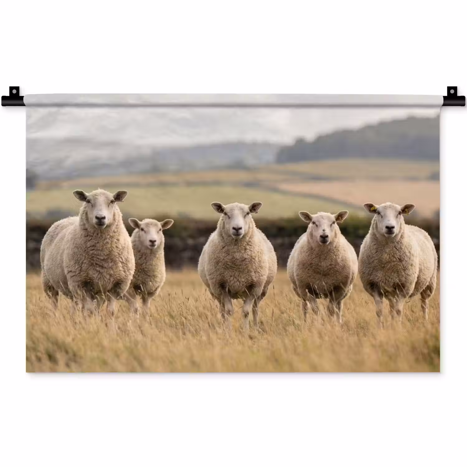 Schapen - Weidenlandschap - Heuvels Wandkleed katoen klein -zz3d