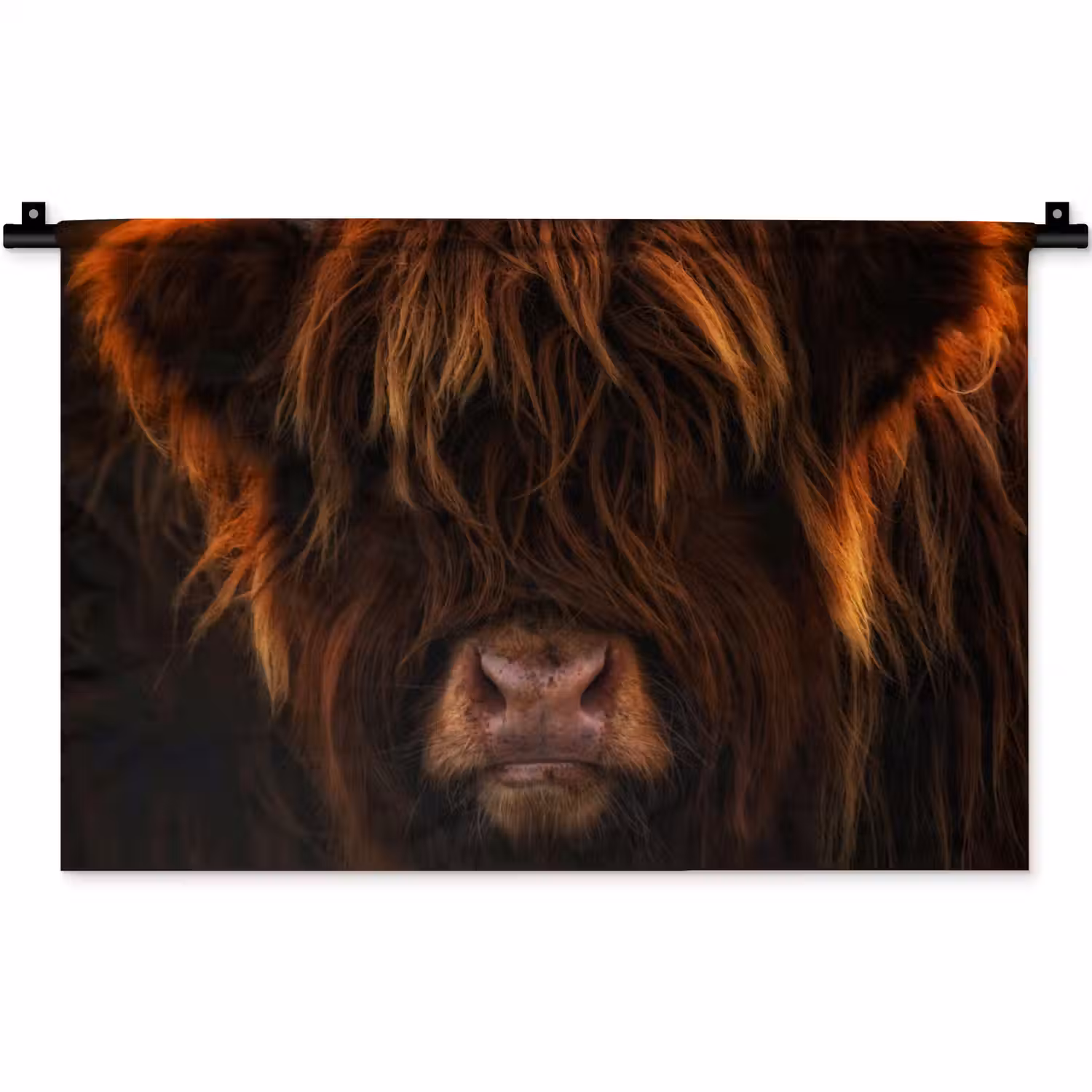 Schotse Hooglander - Koe - Portret - Dieren Wandkleed katoen klein -zz3d
