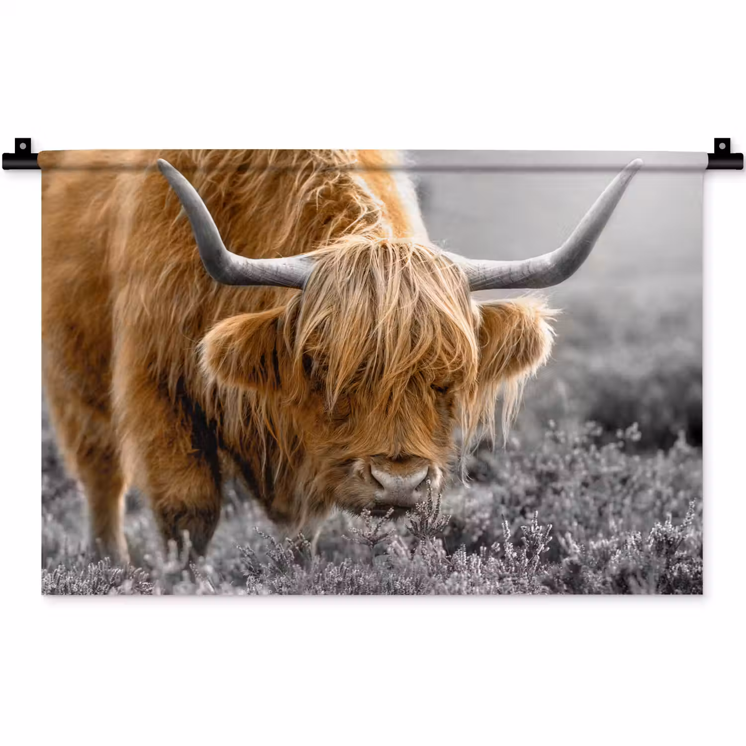 Schotse Hooglander - Dieren - Bruin - Koe - Zwart - Wit - Natuur Wandkleed katoen klein -zz3d