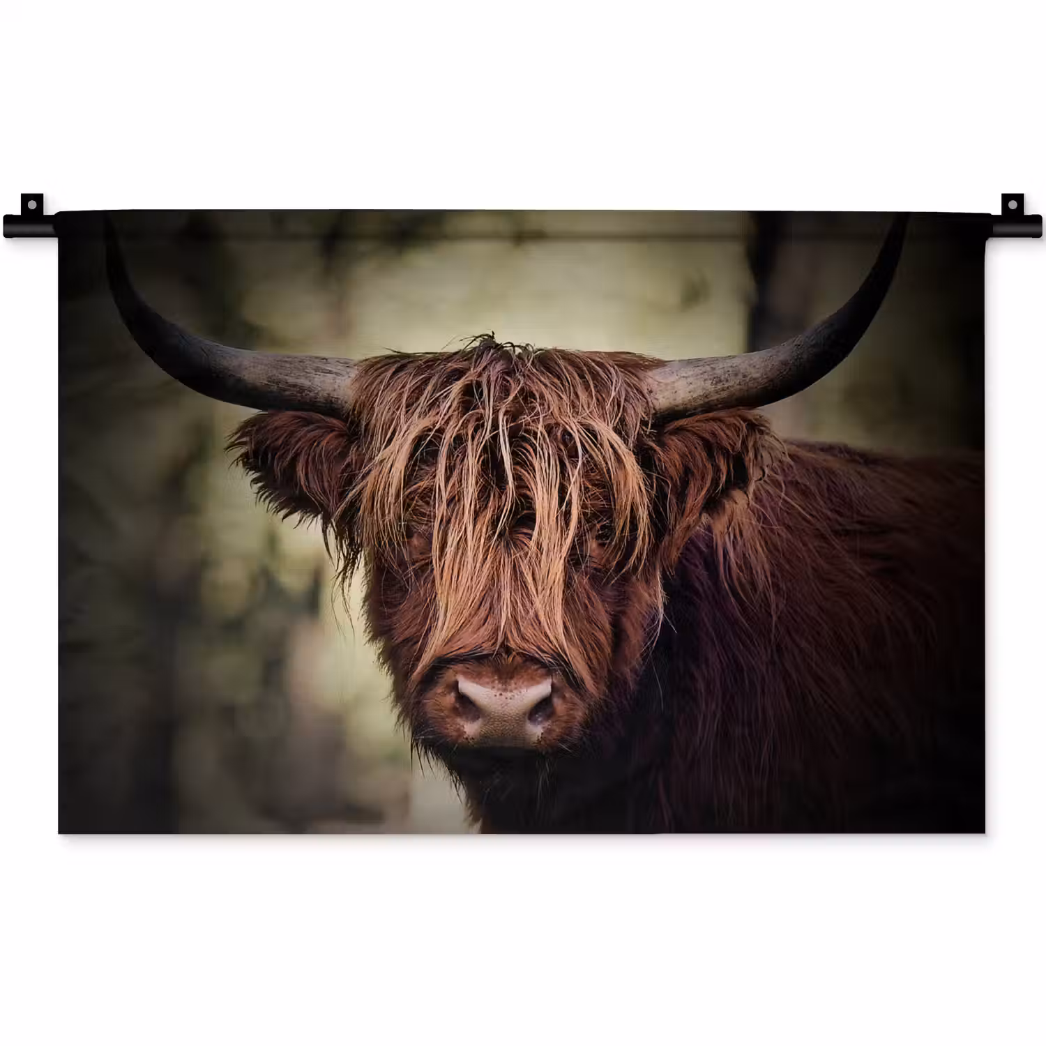 Schotse hooglander - Licht - Portret - Natuur Wandkleed katoen klein -zz3d