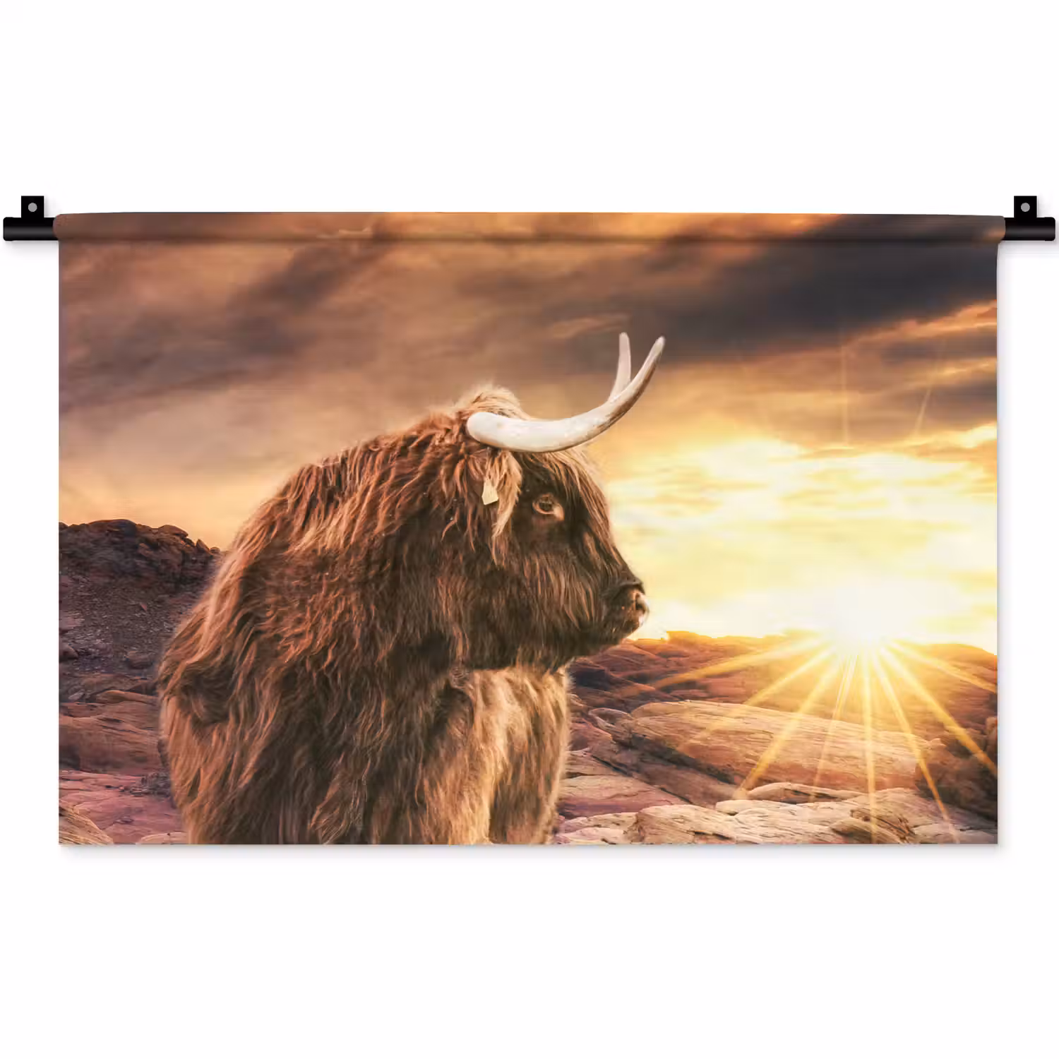 Schotse hooglander - Zon - Horizon - Koe - Dieren Wandkleed katoen klein -zz3d