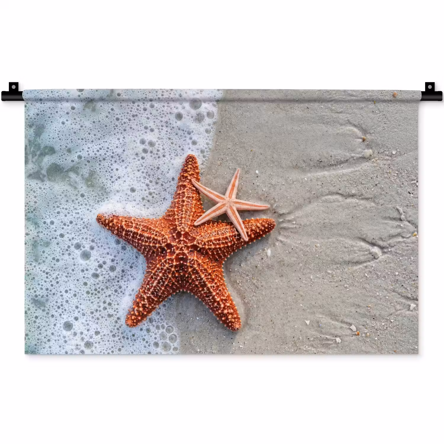 Zeester - Strand - Zee Wandkleed katoen klein -zz3d