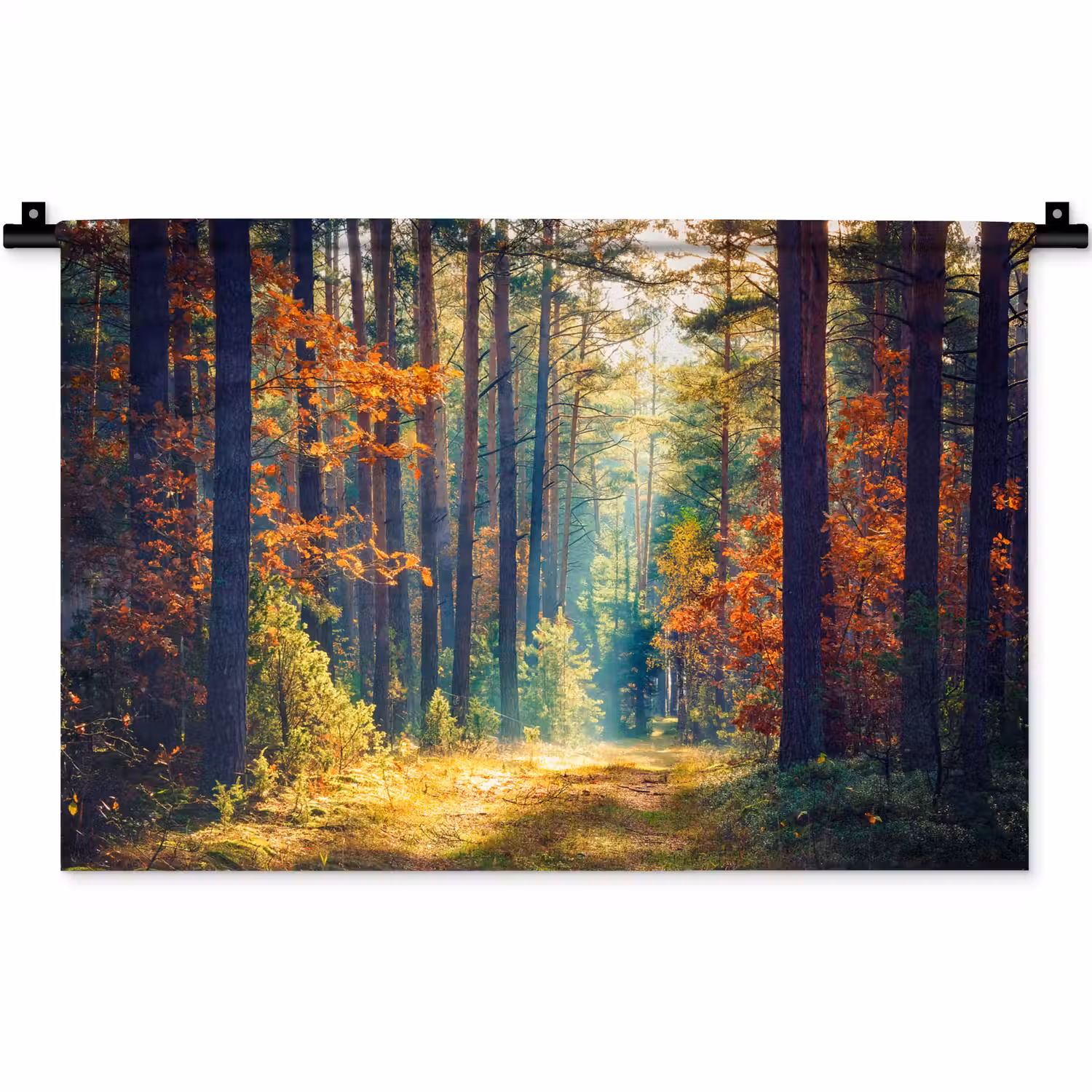 Bos - Zon - Natuur - Herfst Wandkleed katoen klein -zz3d