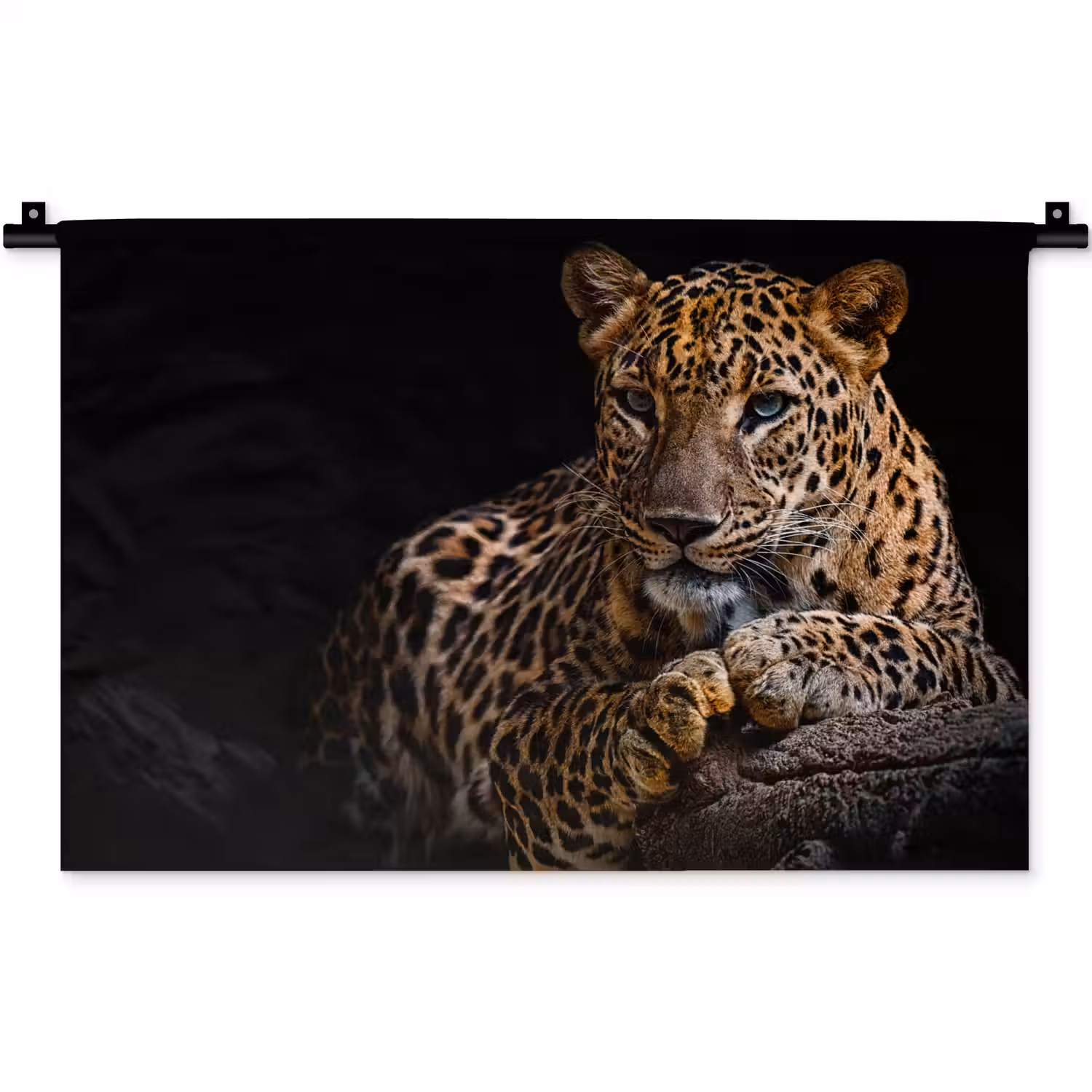 Wilde dieren - Panter - Portret - Zwart - Dieren Wandkleed katoen klein -zz3d