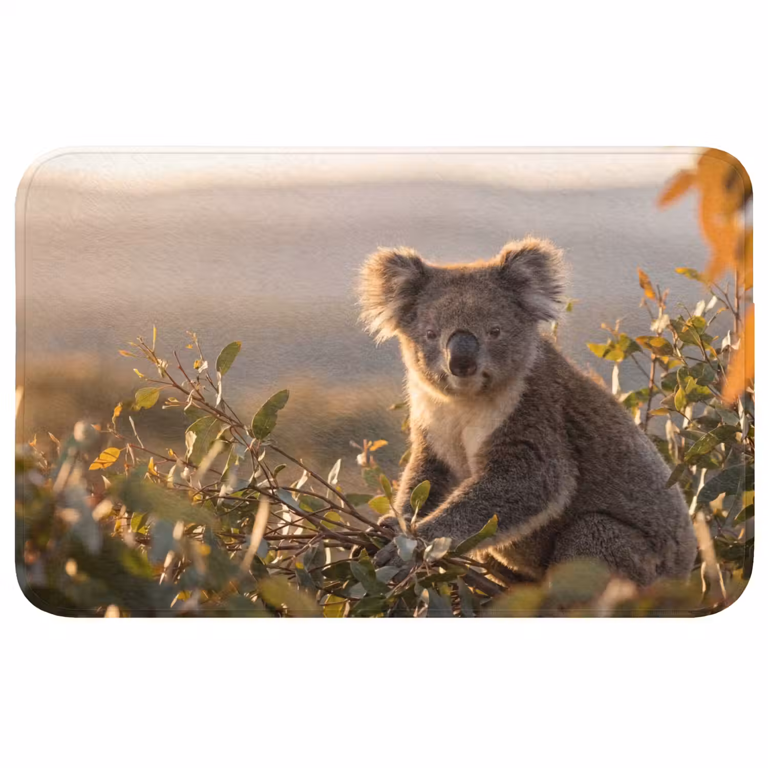 Koala - Bladeren - Ochtendlicht WCmat middel -3d