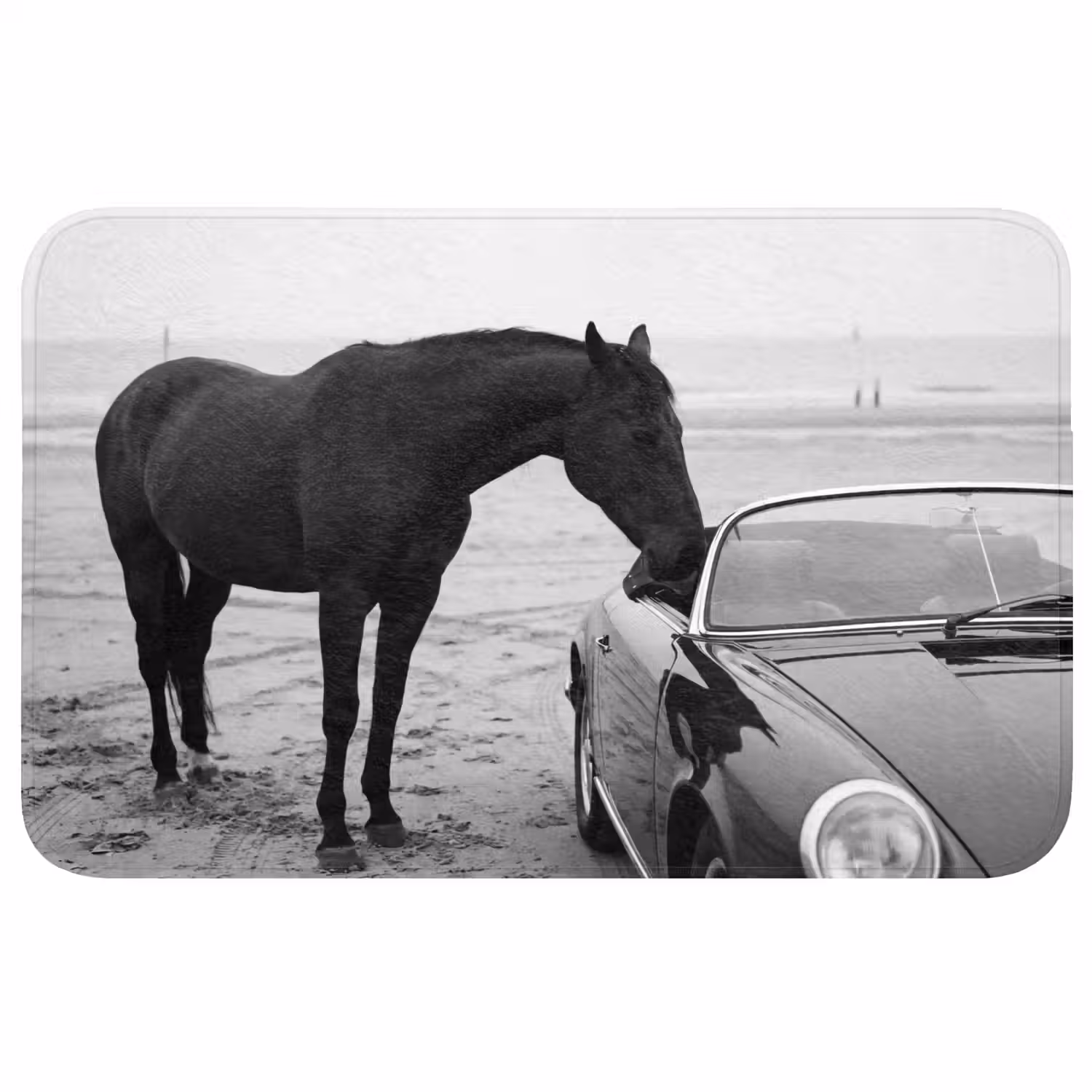Paard - Auto - Zwart - Wit WCmat middel -3d