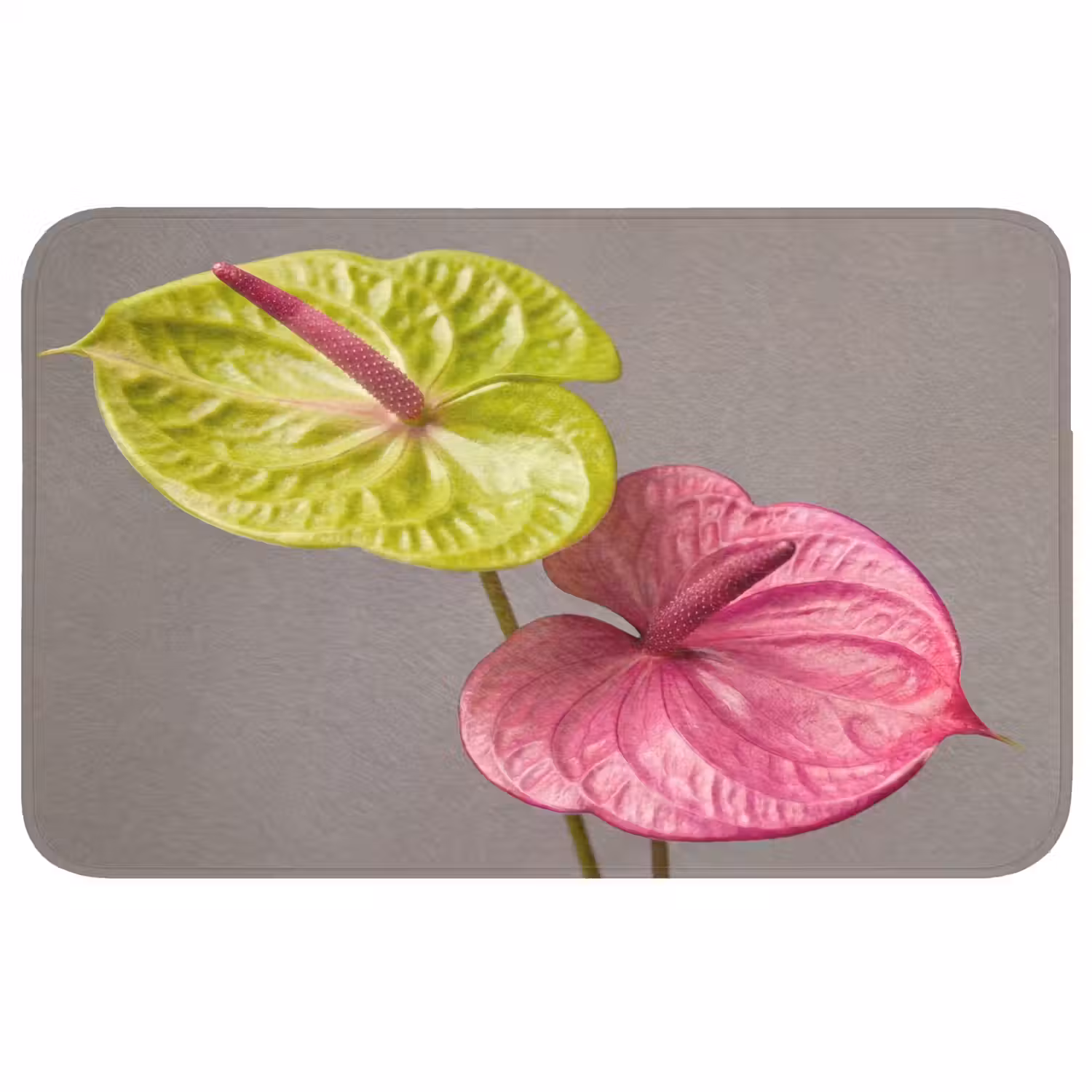 Planten - Anthurium - Groen - Roze WCmat middel -3d