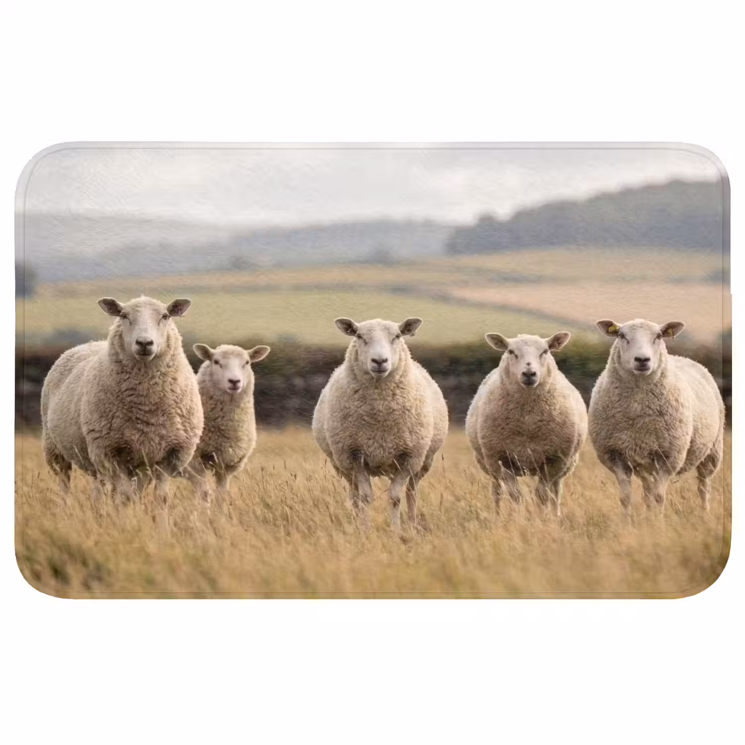 Schapen - Weidenlandschap - Heuvels WCmat middel -3d