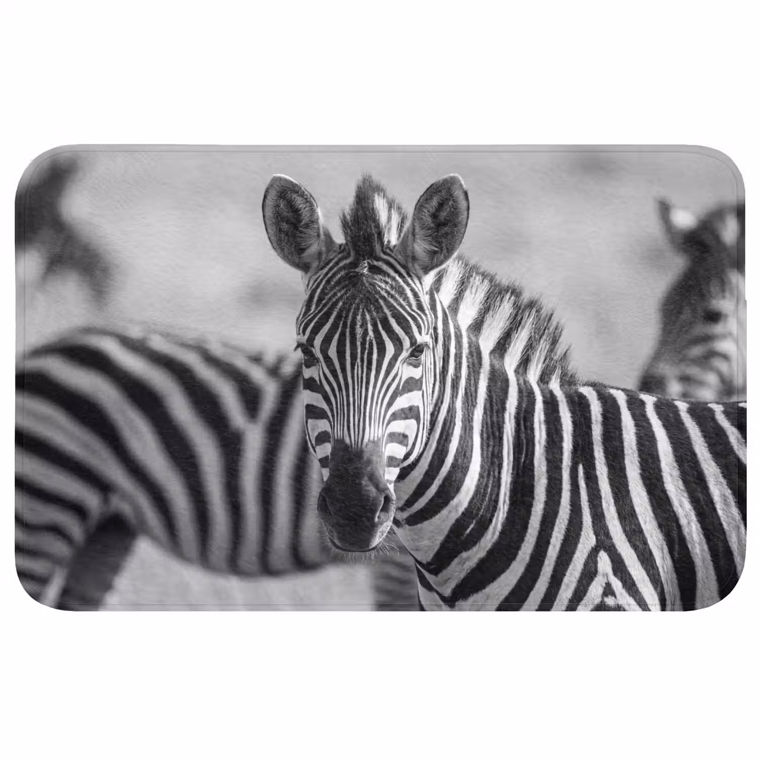 Zebra's - Zwart - Wit WCmat middel -3d