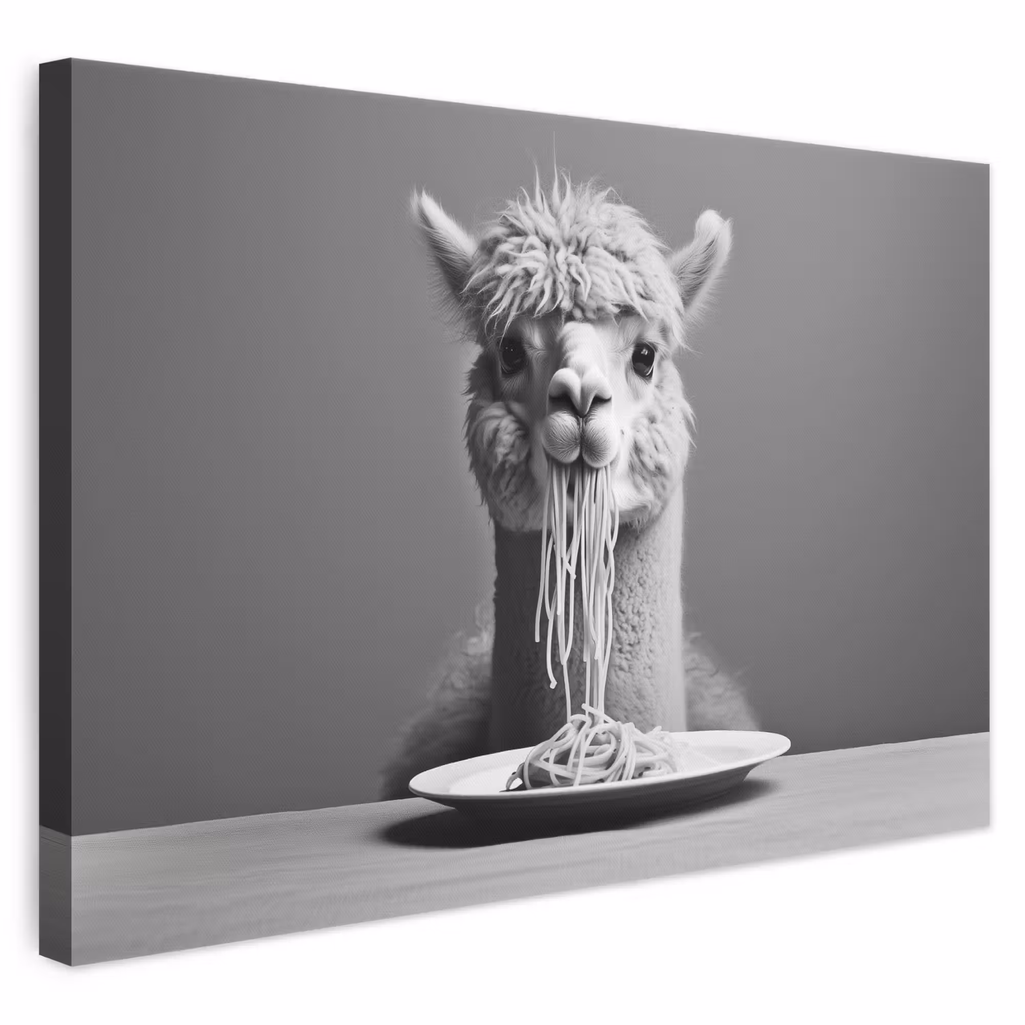 Leinwandbild - Alpaka - Nudeln - Schwarz - Weiß - Lustig - Tiere