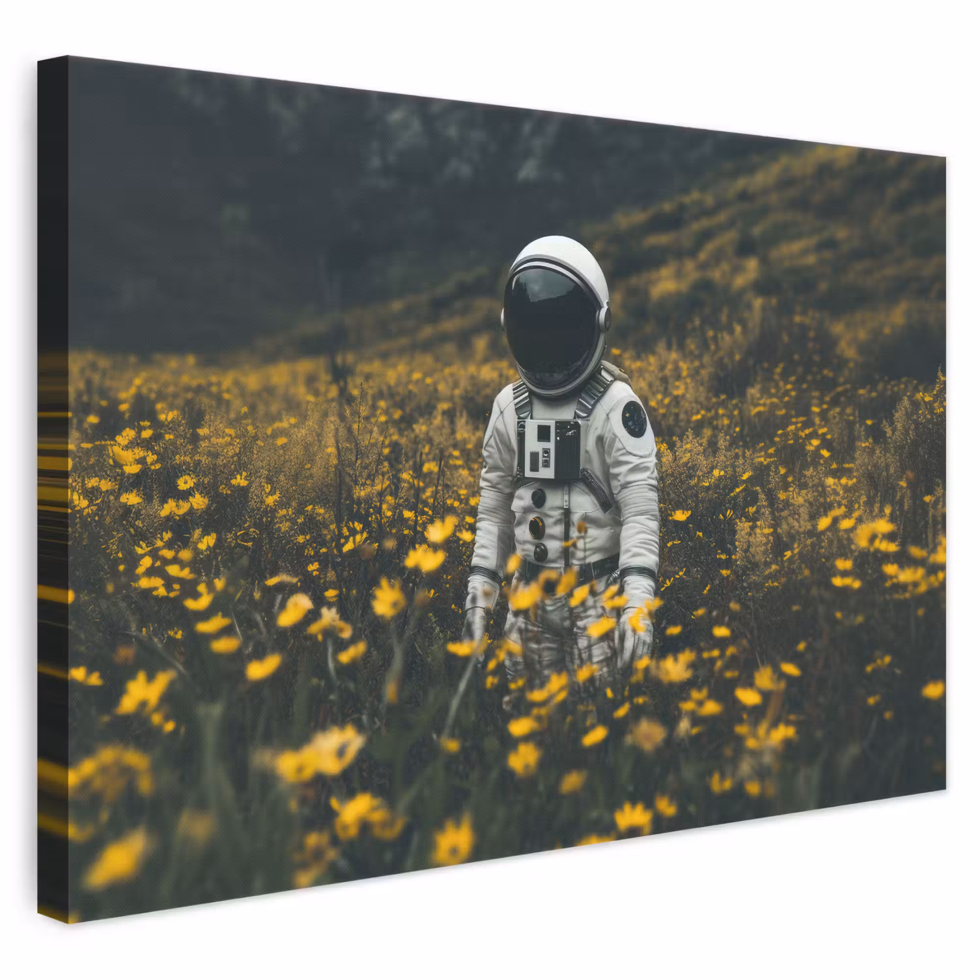 Leinwandbild - Astronaut - Blumen - Feld - Gelb