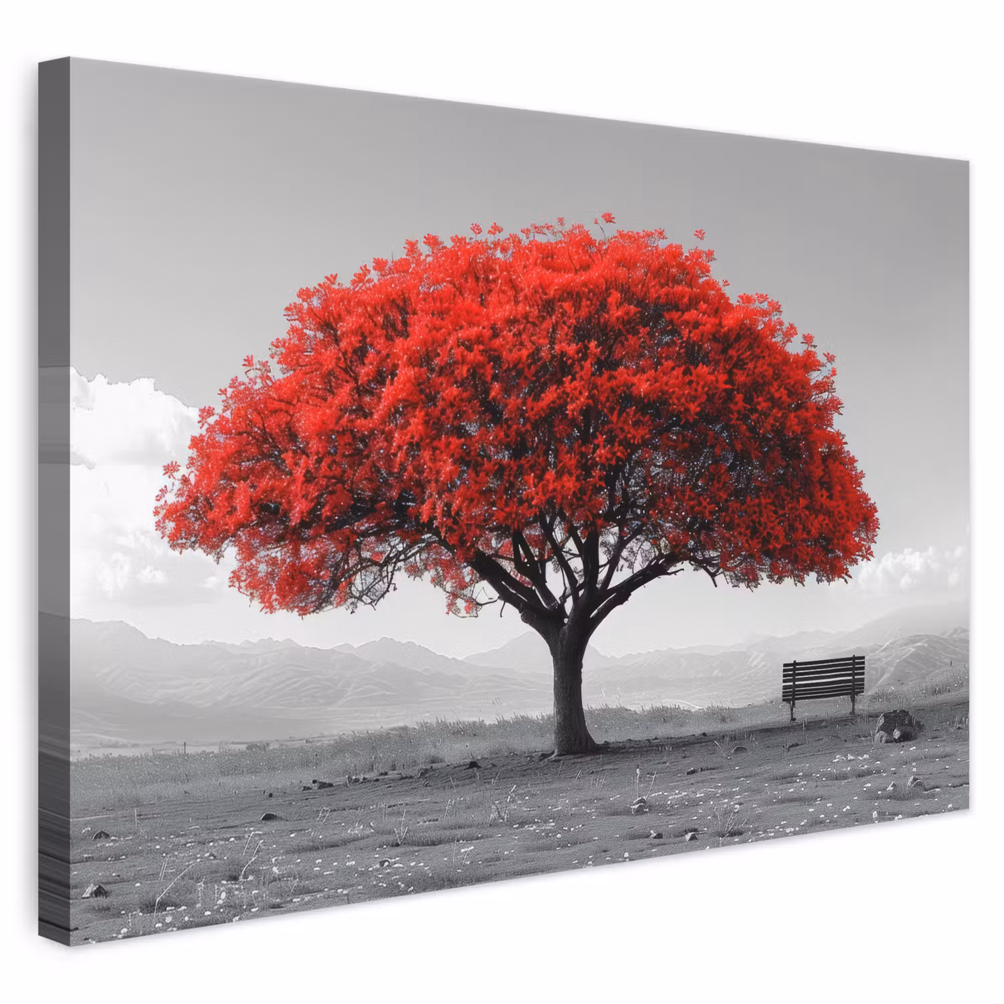 Leinwandbild - Baum - Rot - Natur - Schwarz und weiß