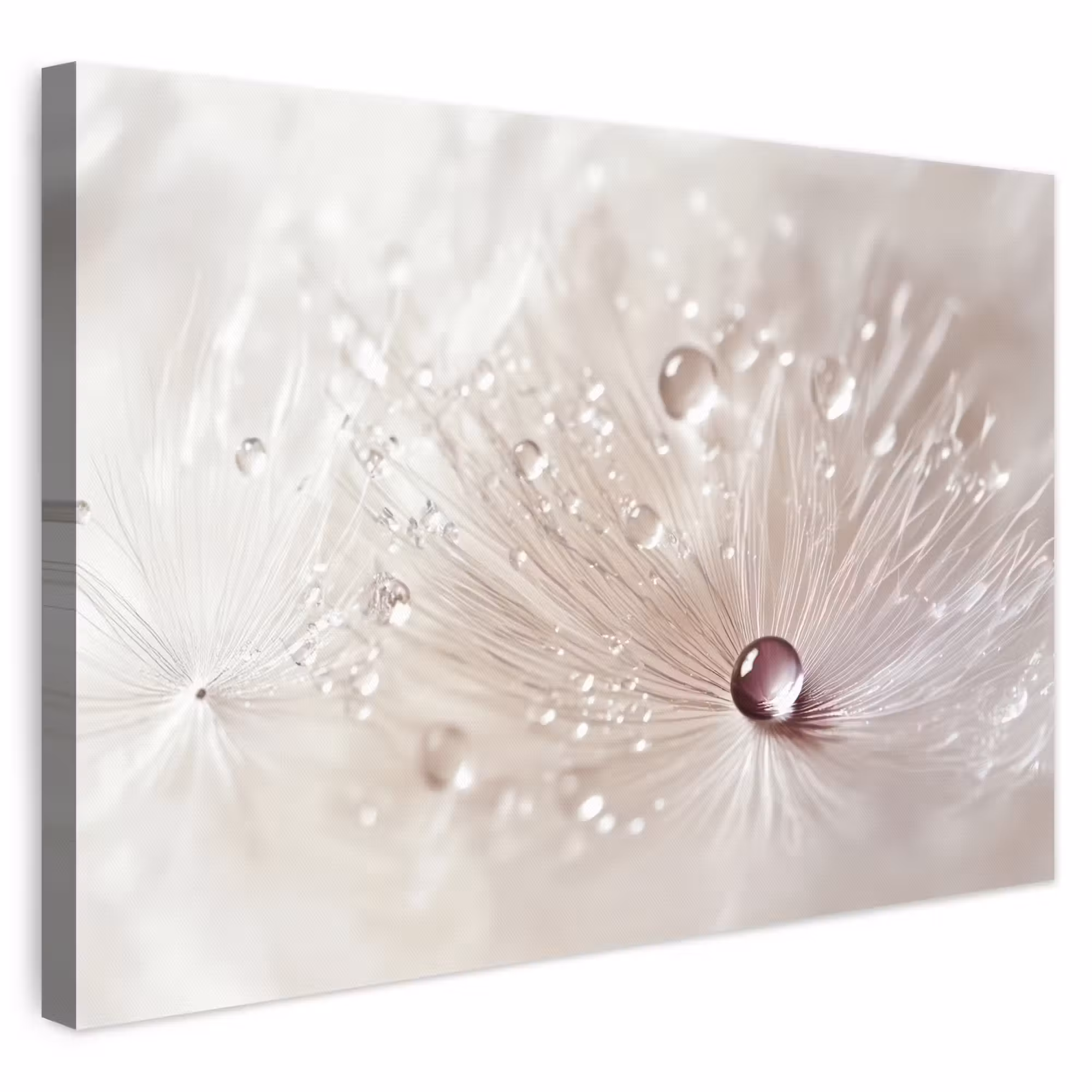 Leinwandbild - Blume - Abstrakt - Weiß - Wasser - Natur