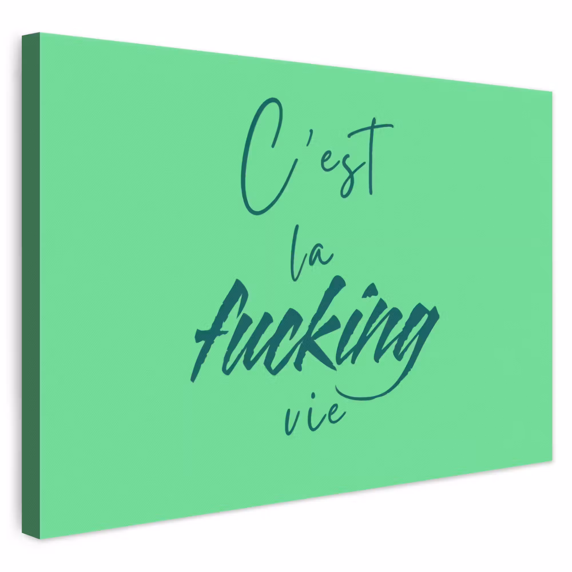 Leinwandbild - c'est la fucking vie - Grün - Bürstenstil
