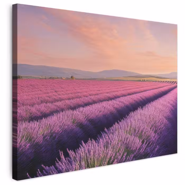 Leinwandbild - Lavendelfeld - Sonnenuntergang - Lila - Blumen