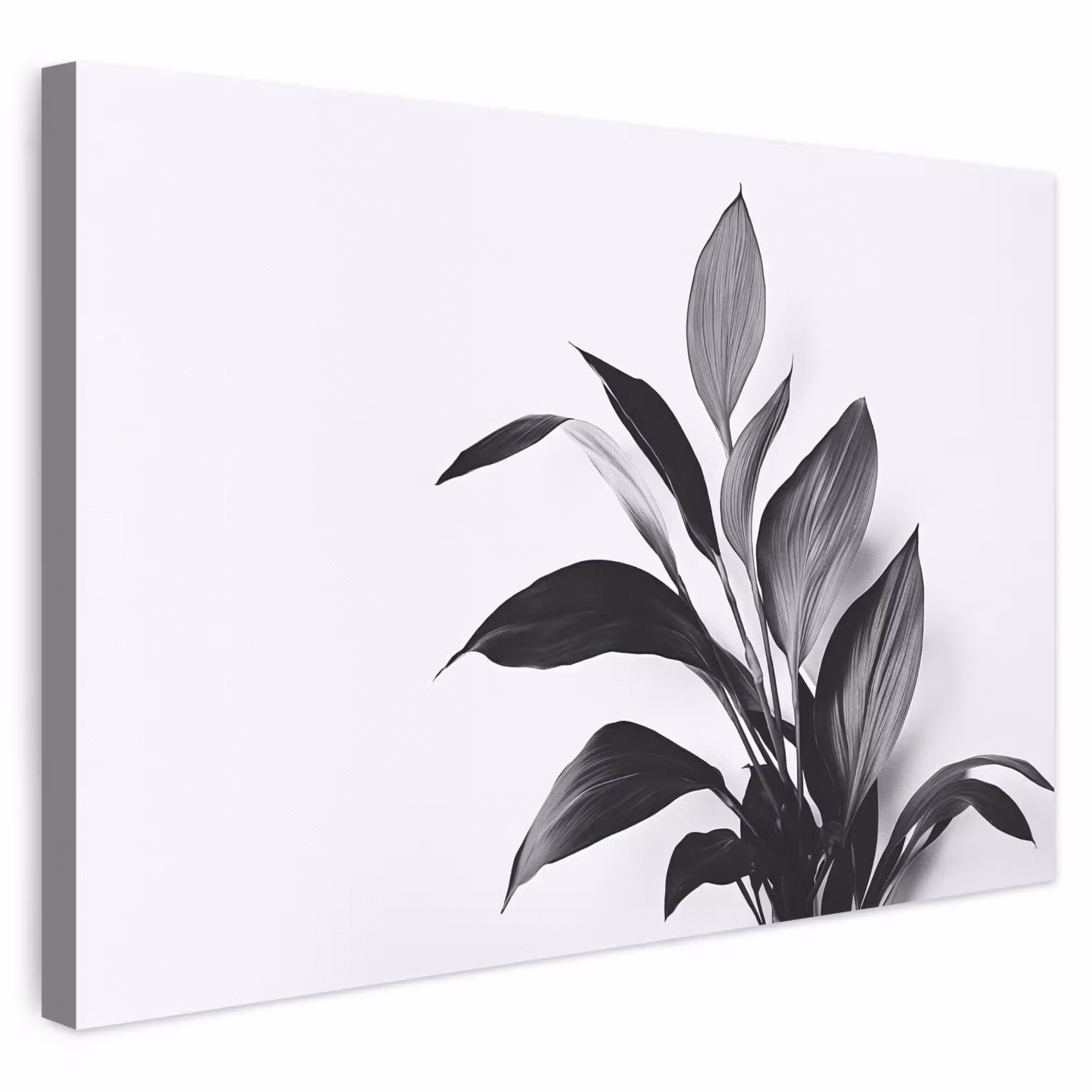 Leinwandbild - Pflanze - Blätter - Minimalistisch - Schwarz