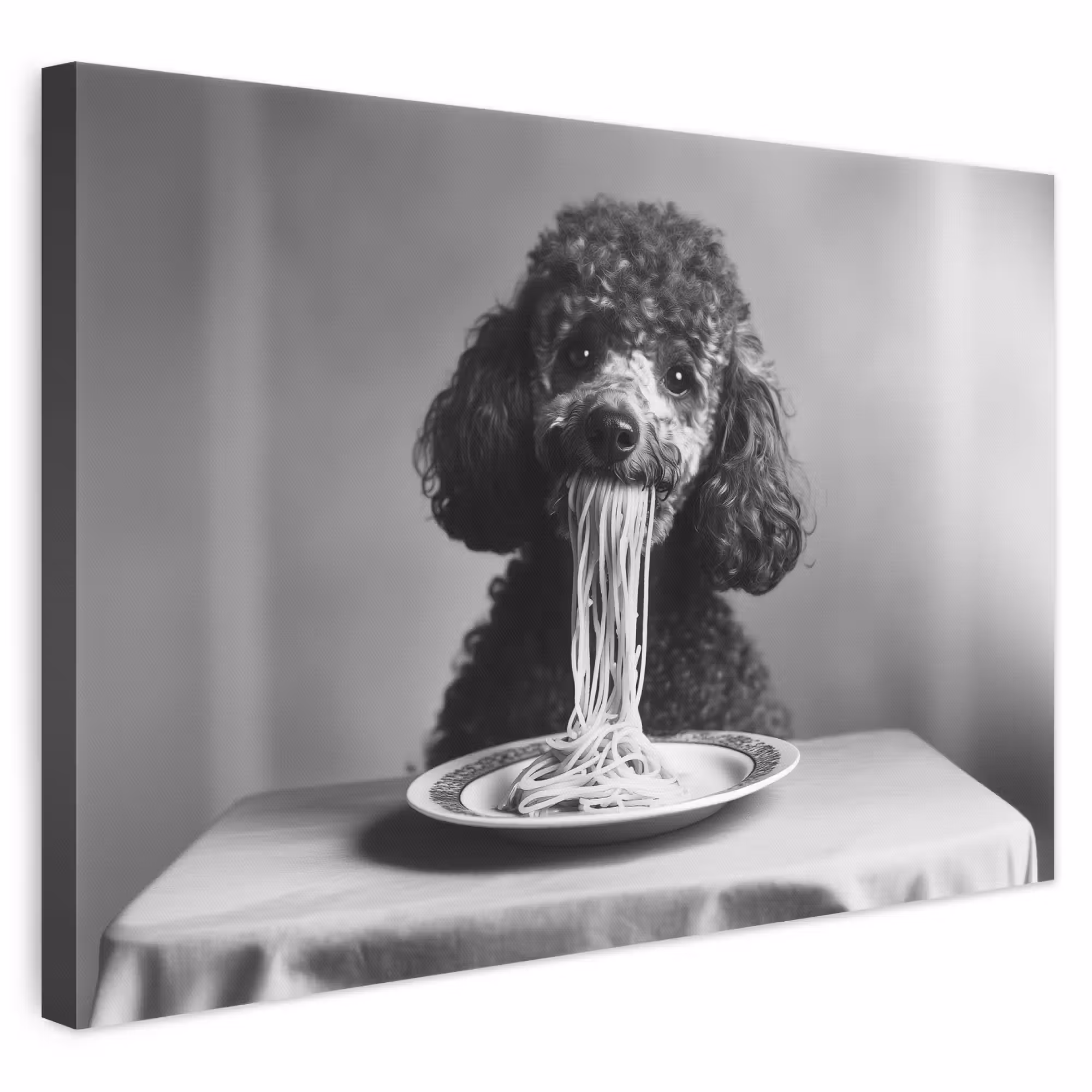 Leinwandbild - Pudel - Hund - Schwarz - Weiß - Niedlich - Nudeln