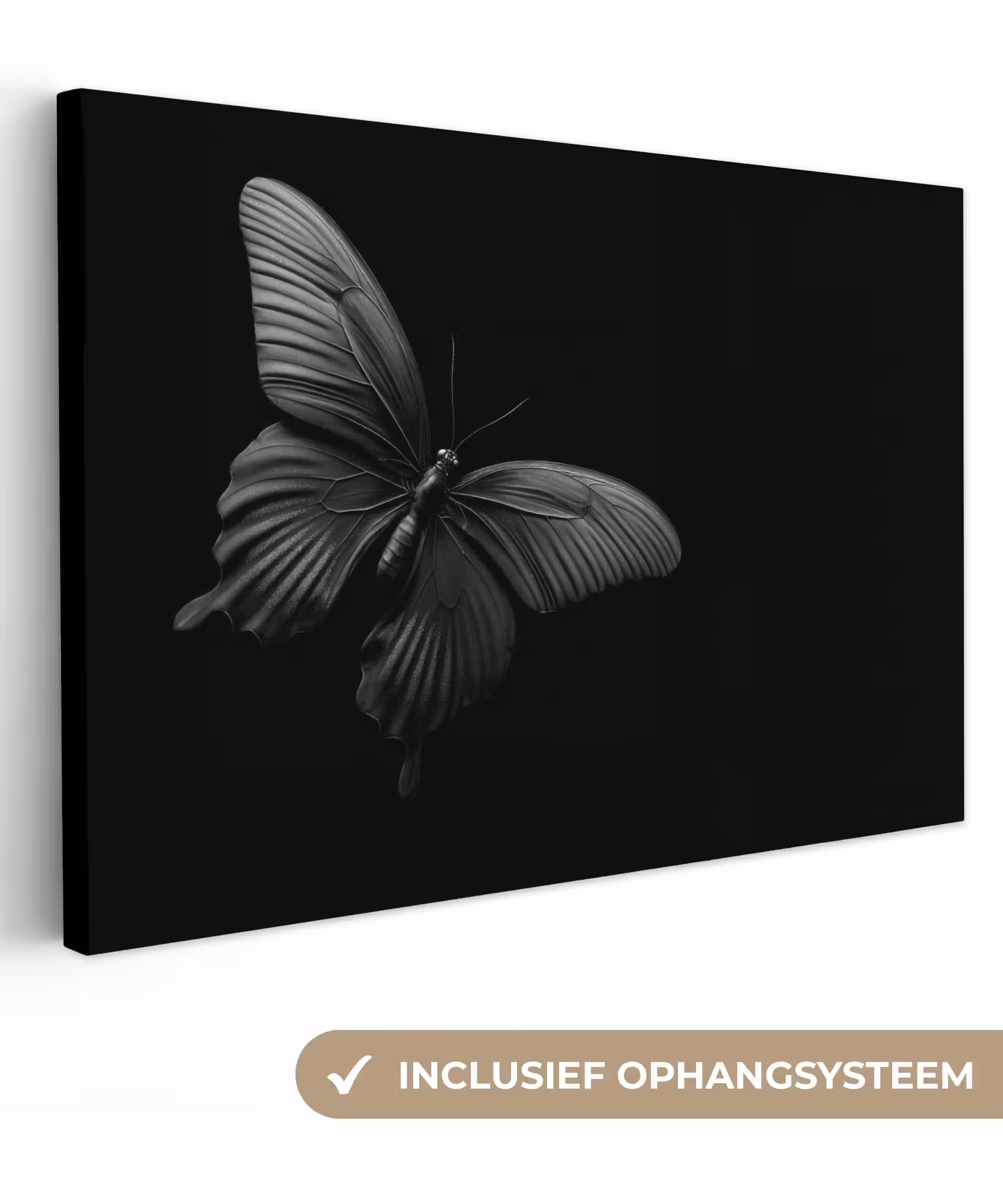 Leinwandbild - Schmetterling - Schwarz - Insekt - Tiere