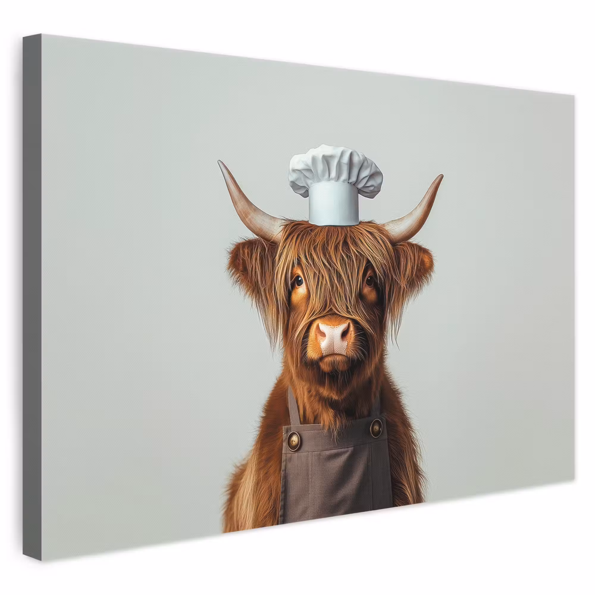 Leinwandbild - Schottischer Highlander - Braun - Hörner - Kochkleidung