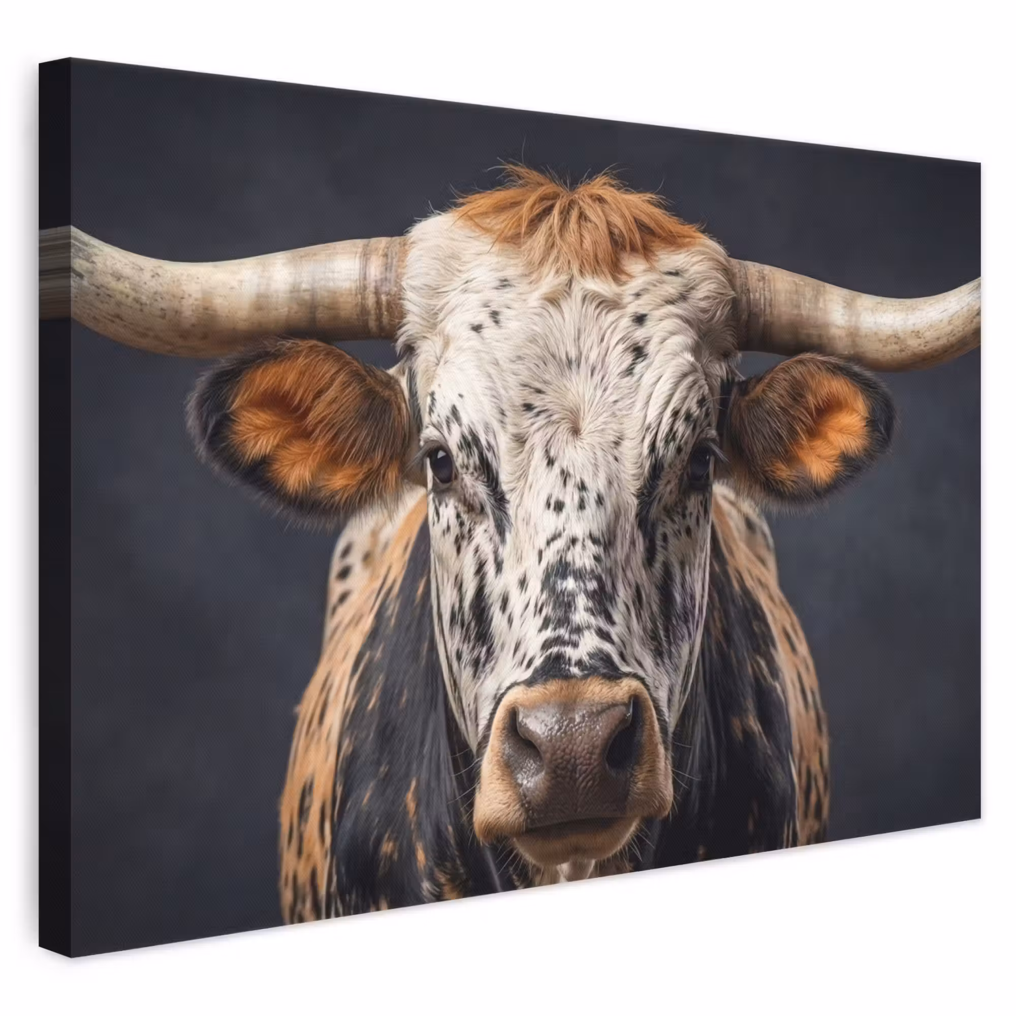 Leinwandbild - Taurus - Farbenfroh - Hörner