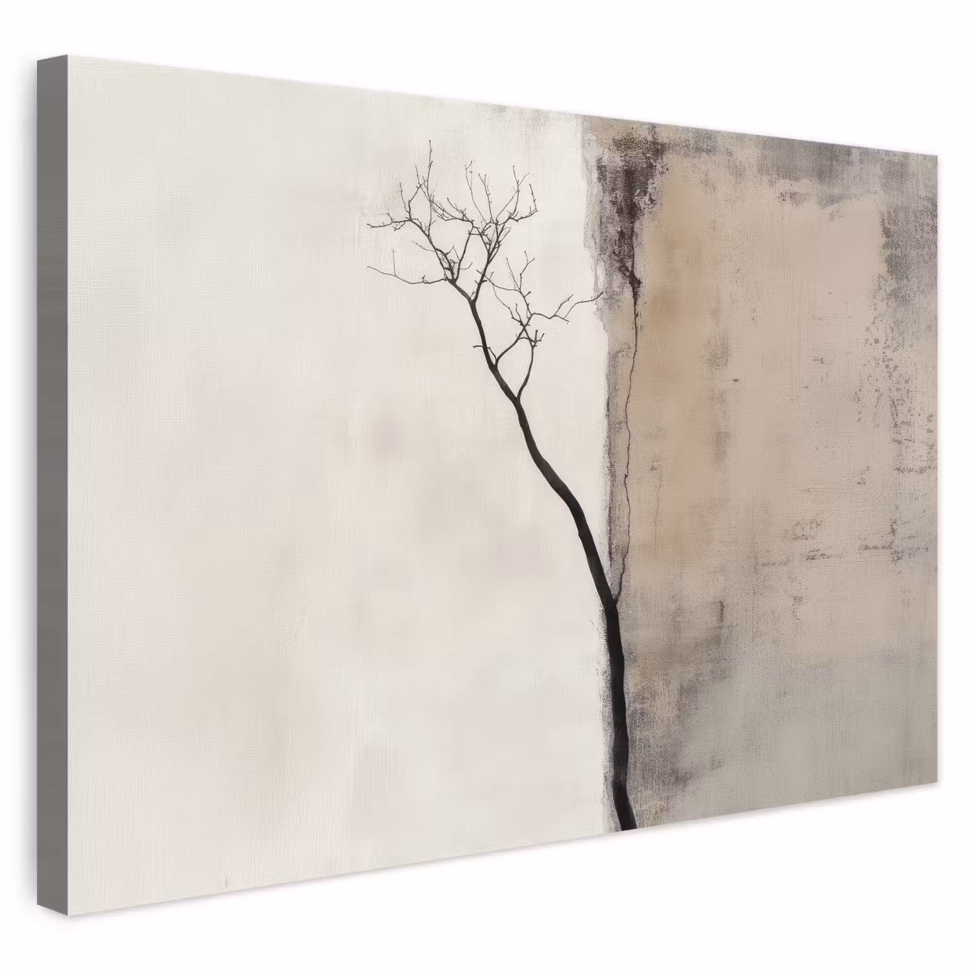 Leinwandbild - Wabi sabi - Pflanze - Beige
