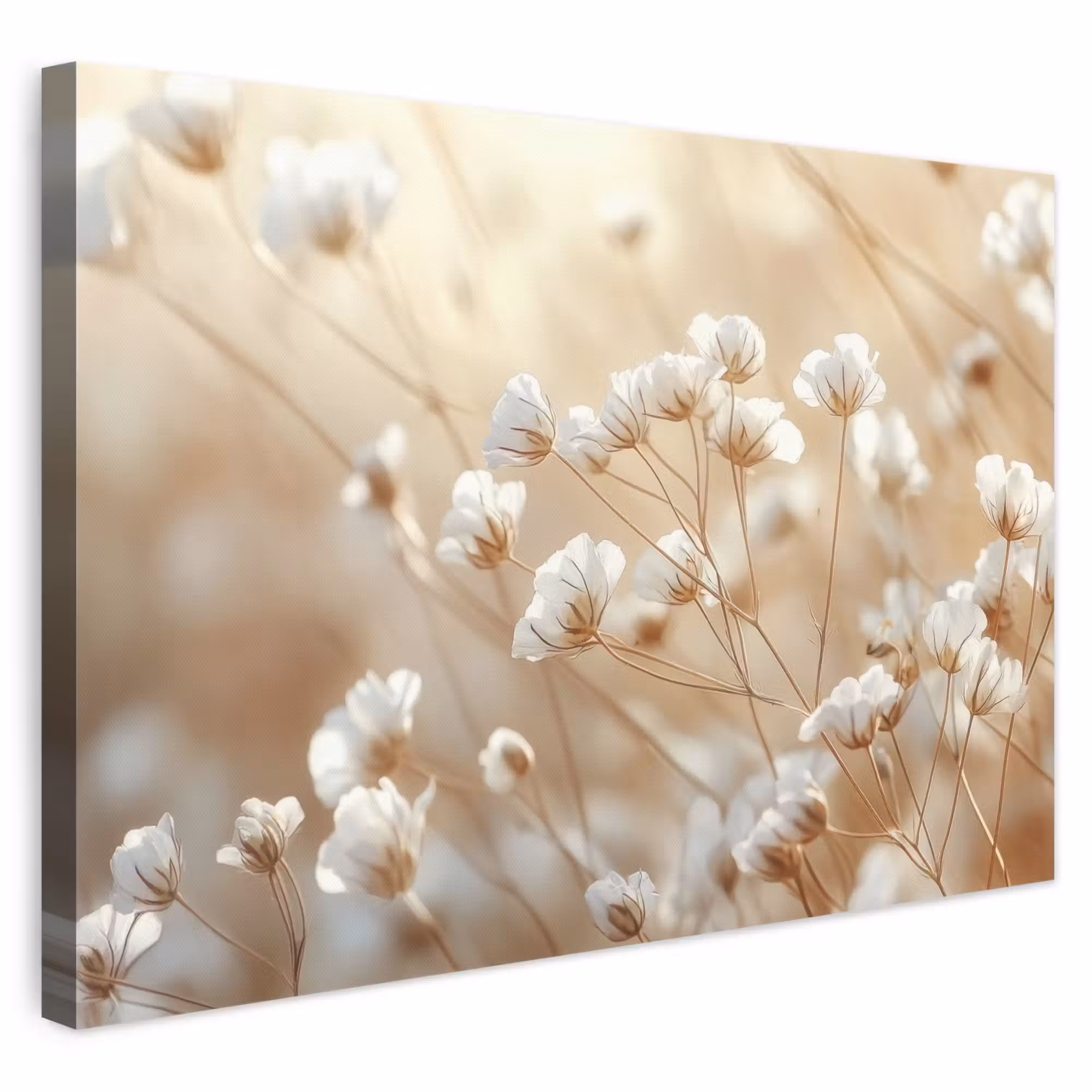 Leinwandbild - Wild - Blumen - Weiß
