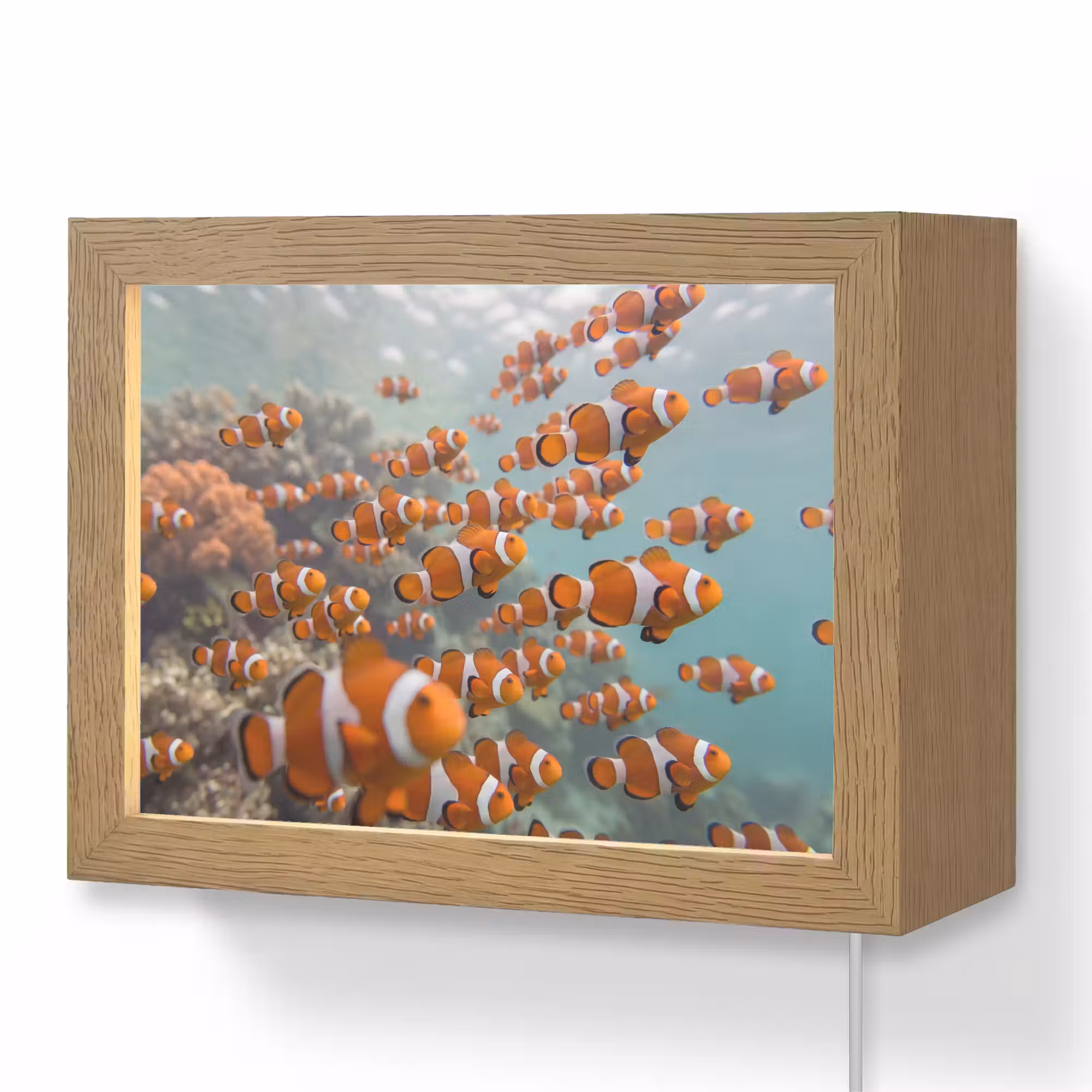 Lightbox - Wandleuchte - Fisch – Schwarm – Unterwasser – Tiere – Orange