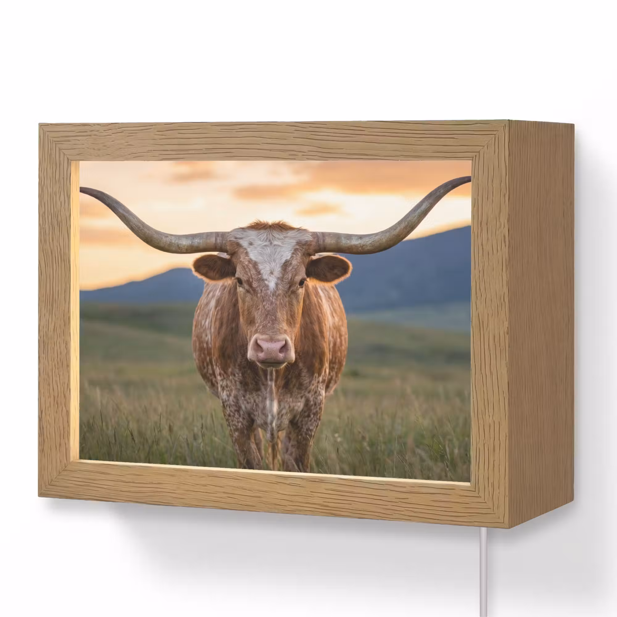 Lightbox - Wandleuchte - Longhorn - Landschaft - Sonnenuntergang