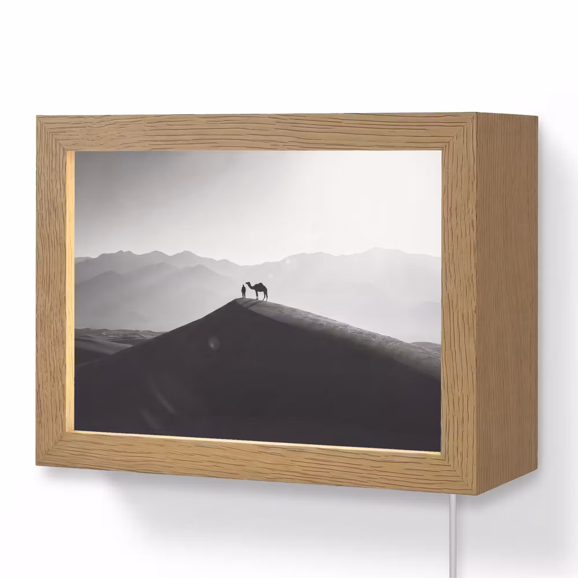 Lightbox - Wandleuchte - Mensch – Kamel – Sanddüne – Natur – Monochrom