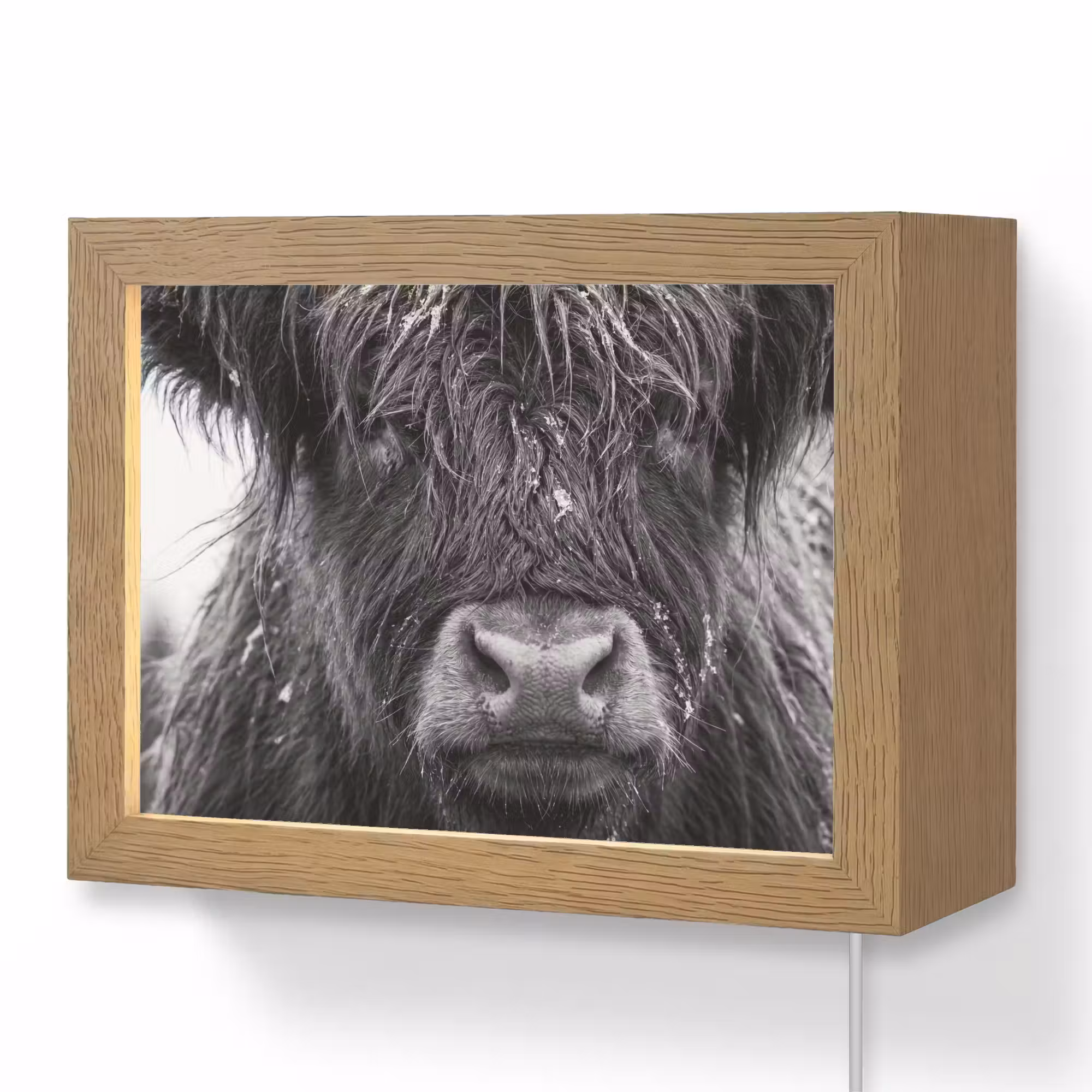 Lightbox - Wandleuchte - Schottischer Highlander - Schwarz - Weiß - Schneeflocken