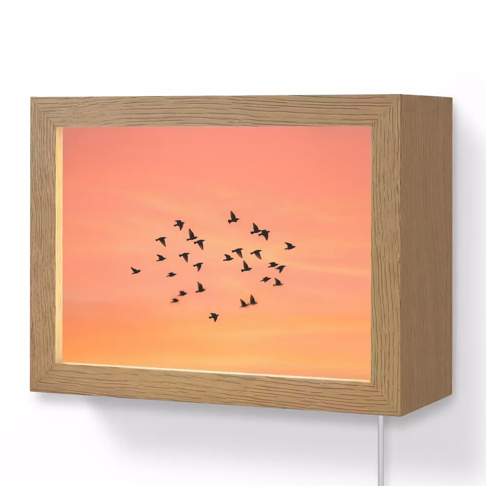 Lightbox - Wandleuchte - Schwarm - Vögel - Orange