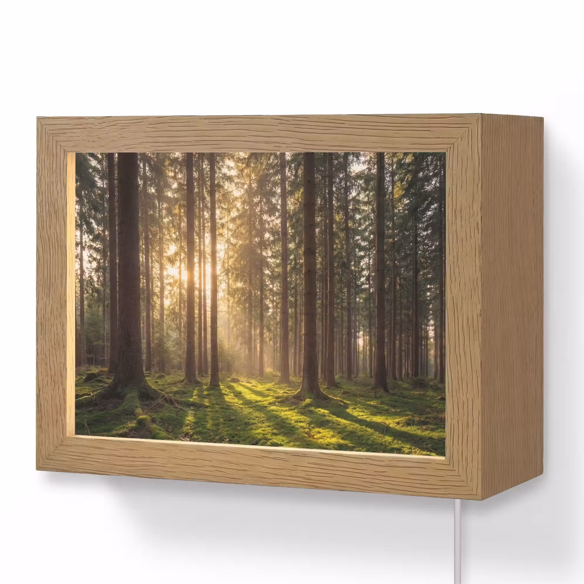 Lightbox - Wandleuchte - Wald - Gras - Sonnenlicht