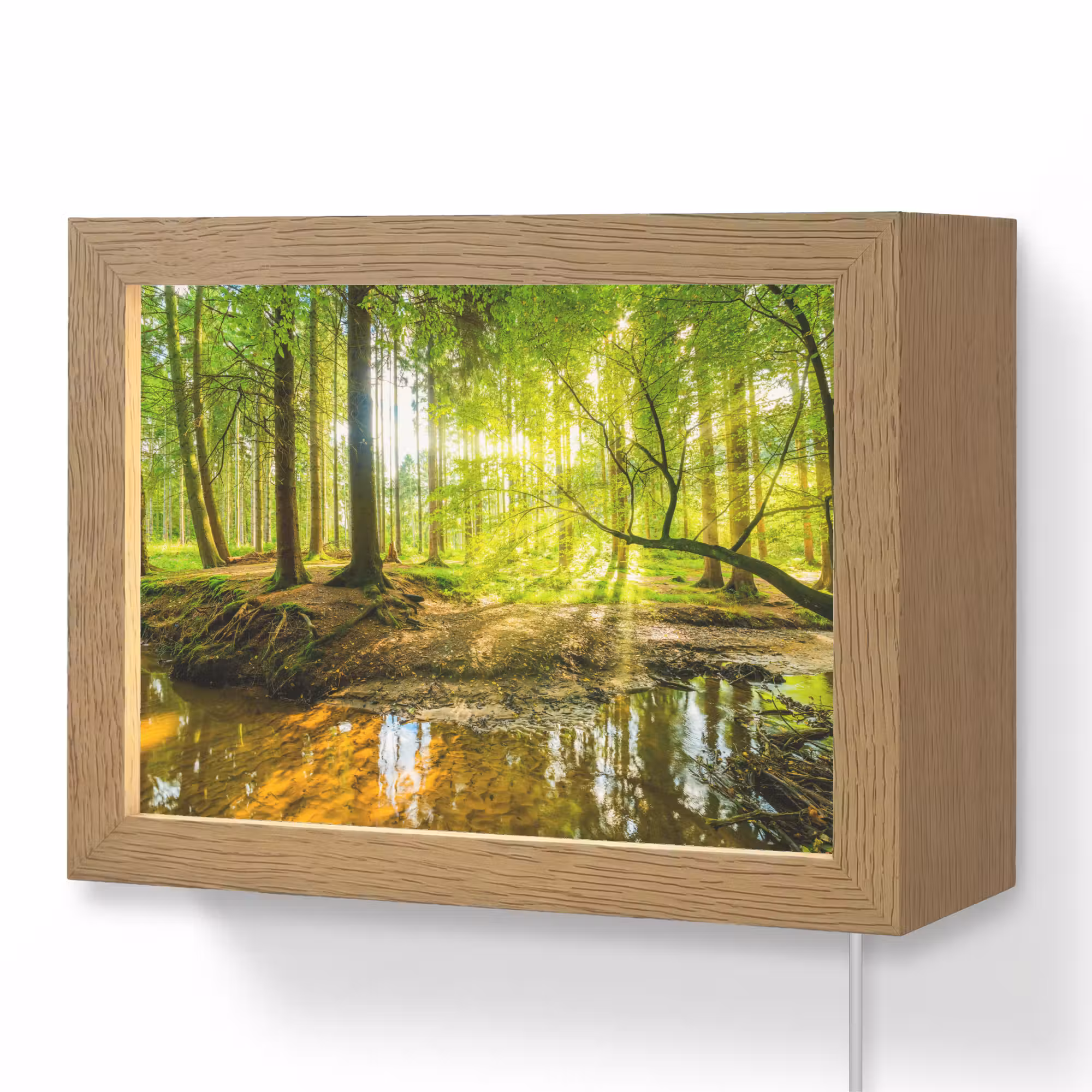 Lightbox - Wandleuchte - Wald - Landschaft - Wasser - Bäume - Sonne - Grün - Natur