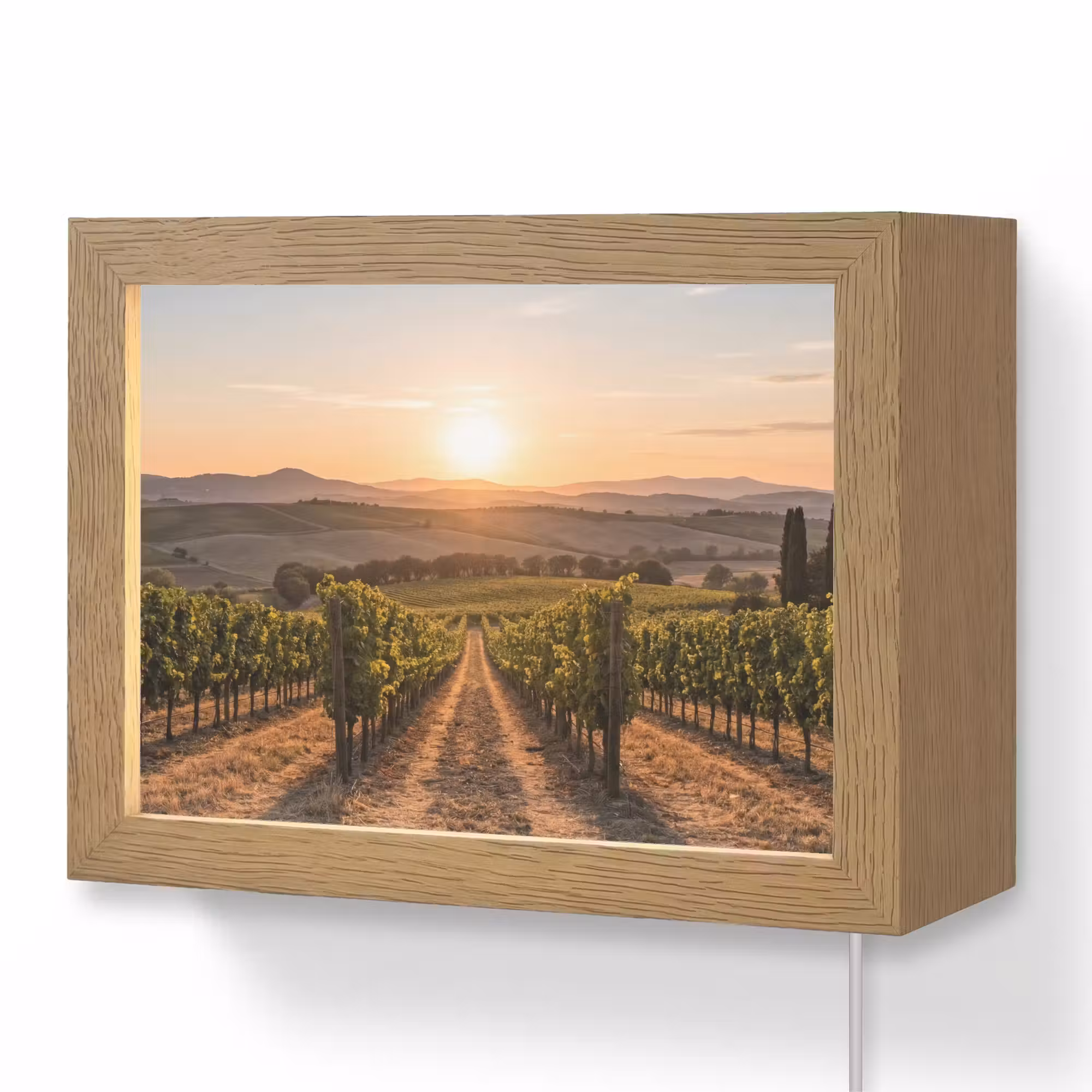 Lightbox - Wandleuchte - Weinberg - Sonnenuntergang - Landschaft
