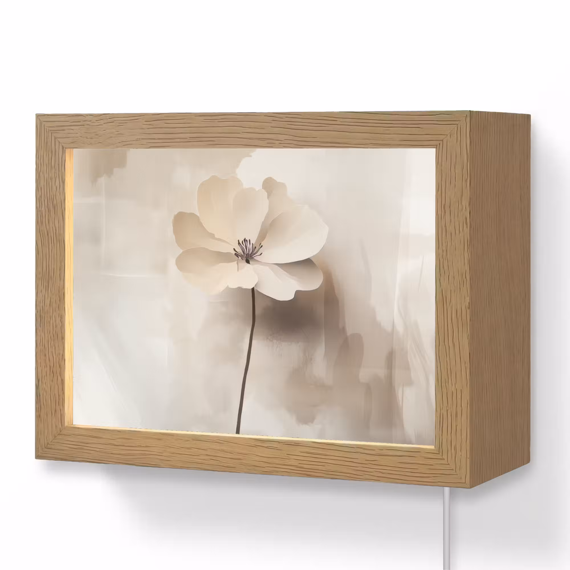 Lightbox - Wandleuchte - Blume - Beige - Farbe - Schatten