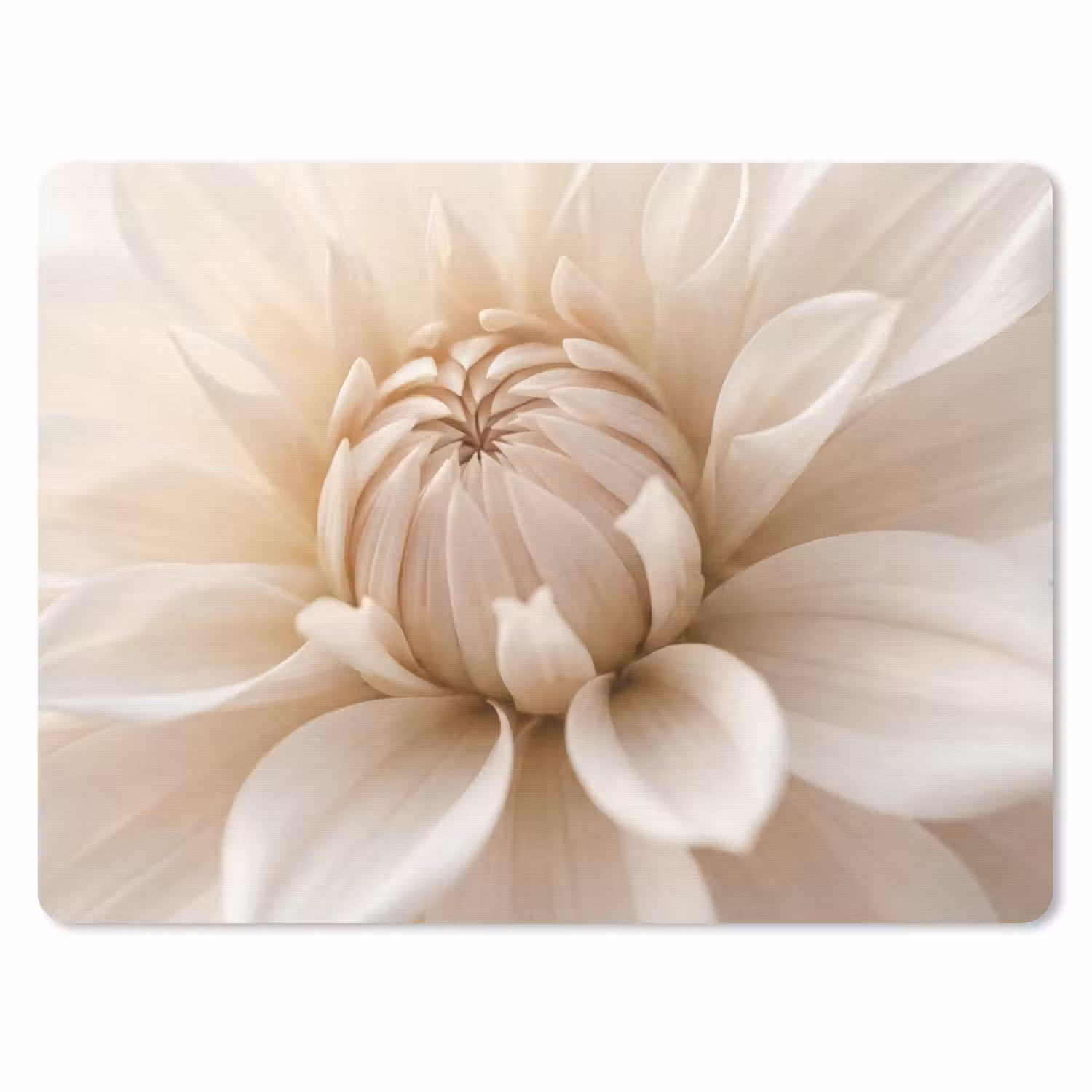 Mauspad - Blume - Dahlie - Weiß