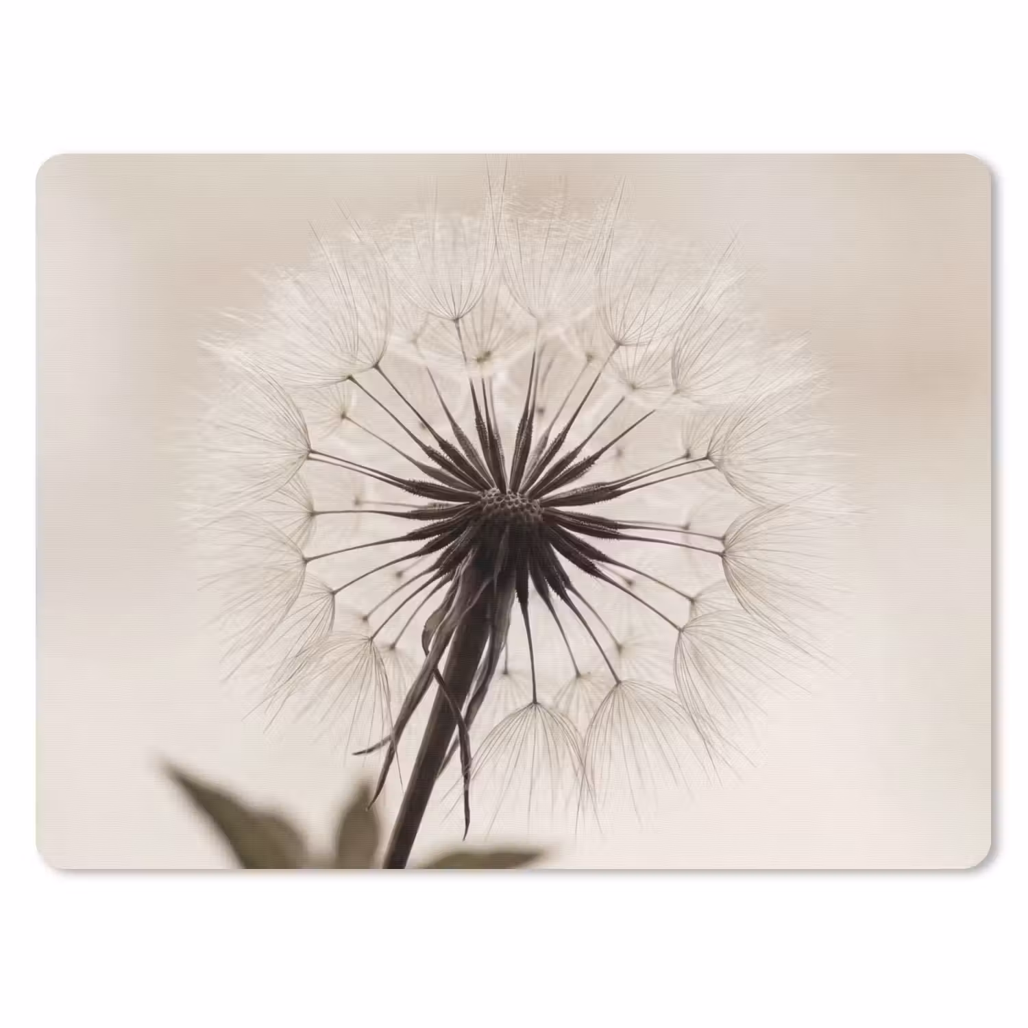 Mauspad - Pusteblume - Minimalistisch - Weiß