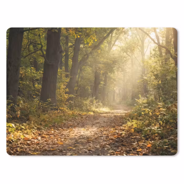 Mauspad - Sonnenlicht - Waldweg - Bäume