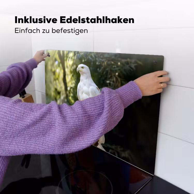 Arend - Hout - Wit - Planten Inductie beschemer met haakjes klein -ky-ophangen-de