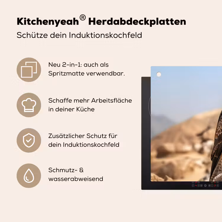 Valk - Vogel - Rots - Macht Inductie beschemer met haakjes klein -ky-usp-de